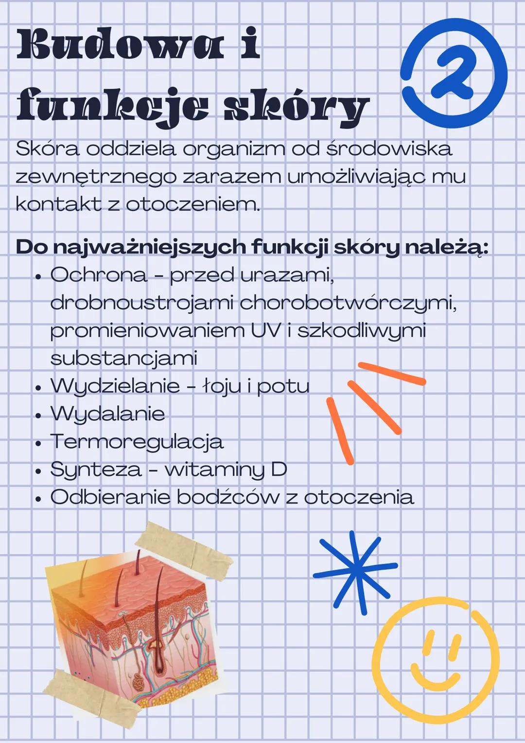 Budowa i
funkcje skóry
2
Skóra oddziela organizm od środowiska
zewnętrznego zarazem umożliwiając mu
kontakt z otoczeniem.
Do najważniejszych