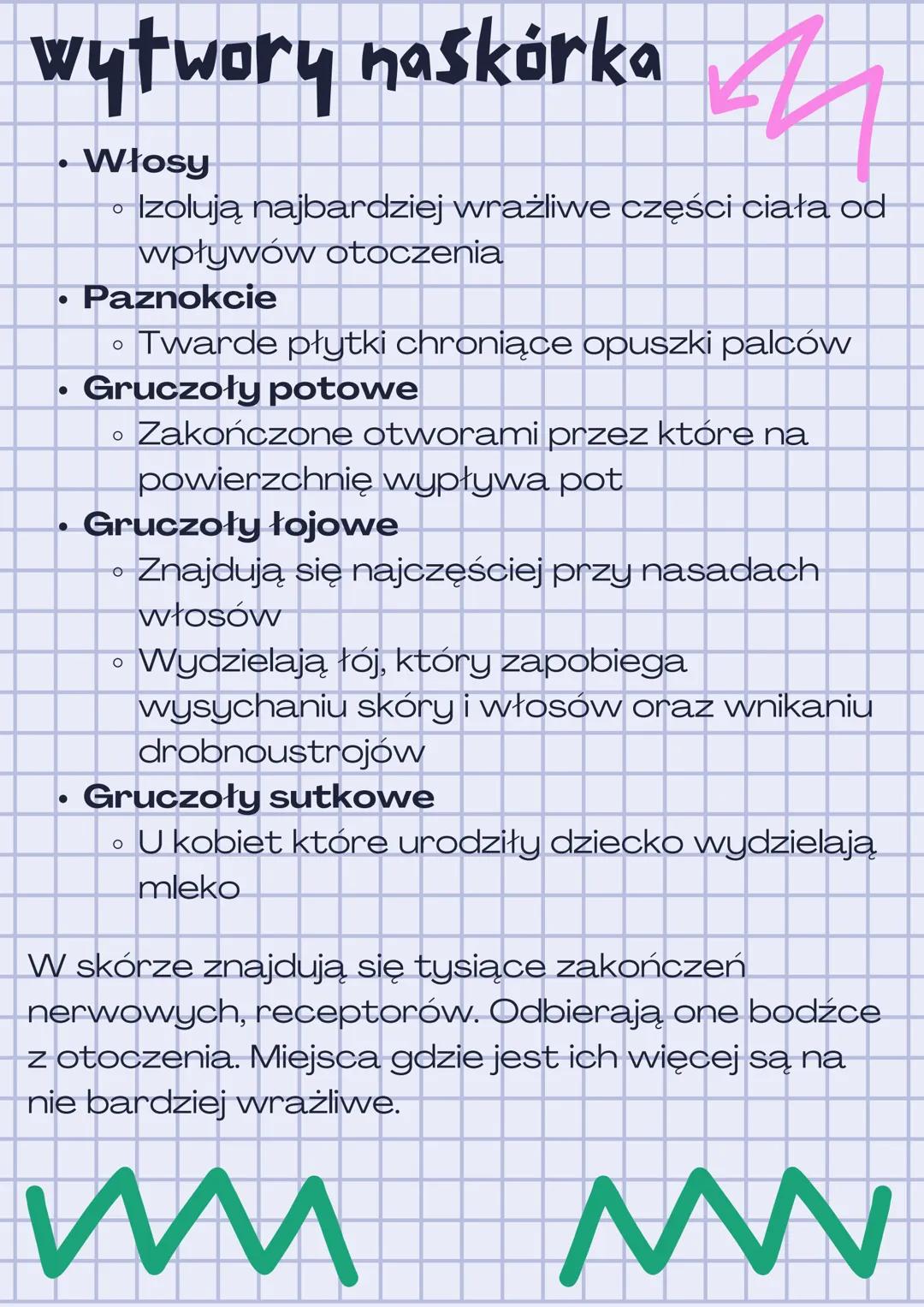 Budowa i
funkcje skóry
2
Skóra oddziela organizm od środowiska
zewnętrznego zarazem umożliwiając mu
kontakt z otoczeniem.
Do najważniejszych