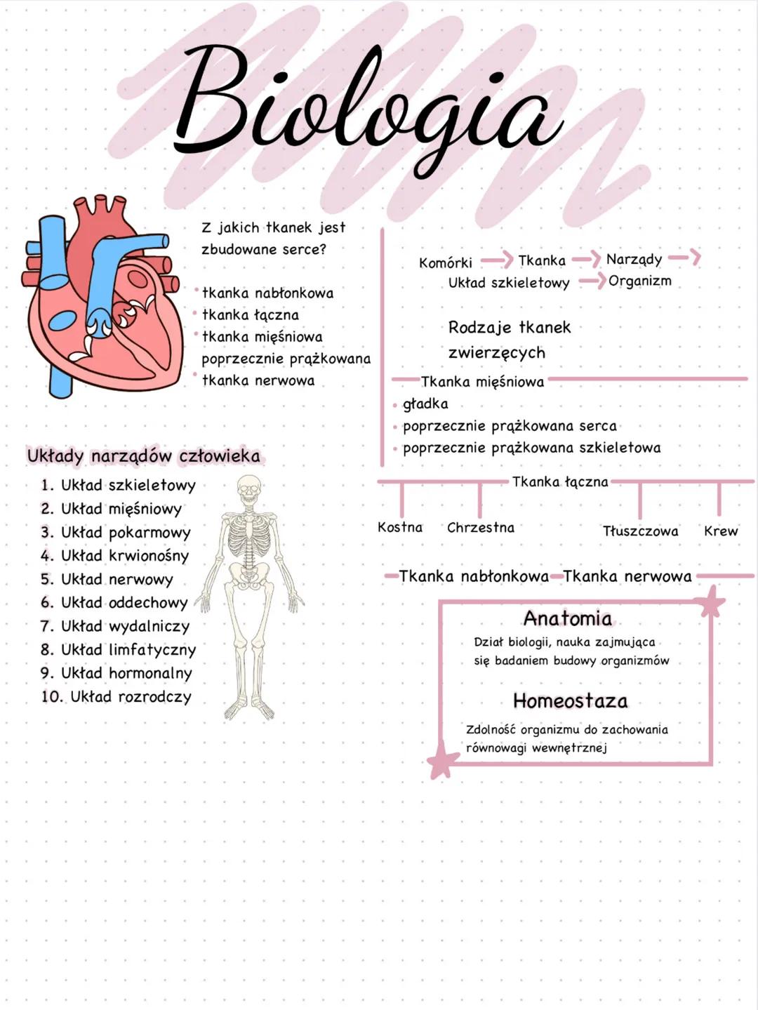 Biologia
Z jakich tkanek jest
zbudowane serce?
tkanka nabłonkowa
• tkanka łączna
⚫tkanka mięśniowa
poprzecznie prążkowana
tkanka nerwowa
Ukł