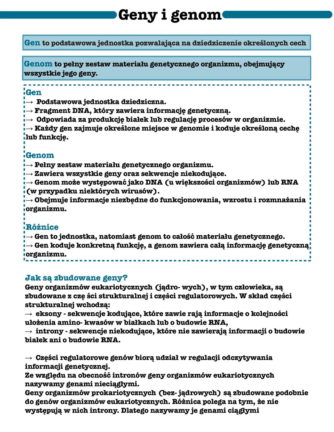 Gen a genom. Budowa i rola kwasów nukleinowych