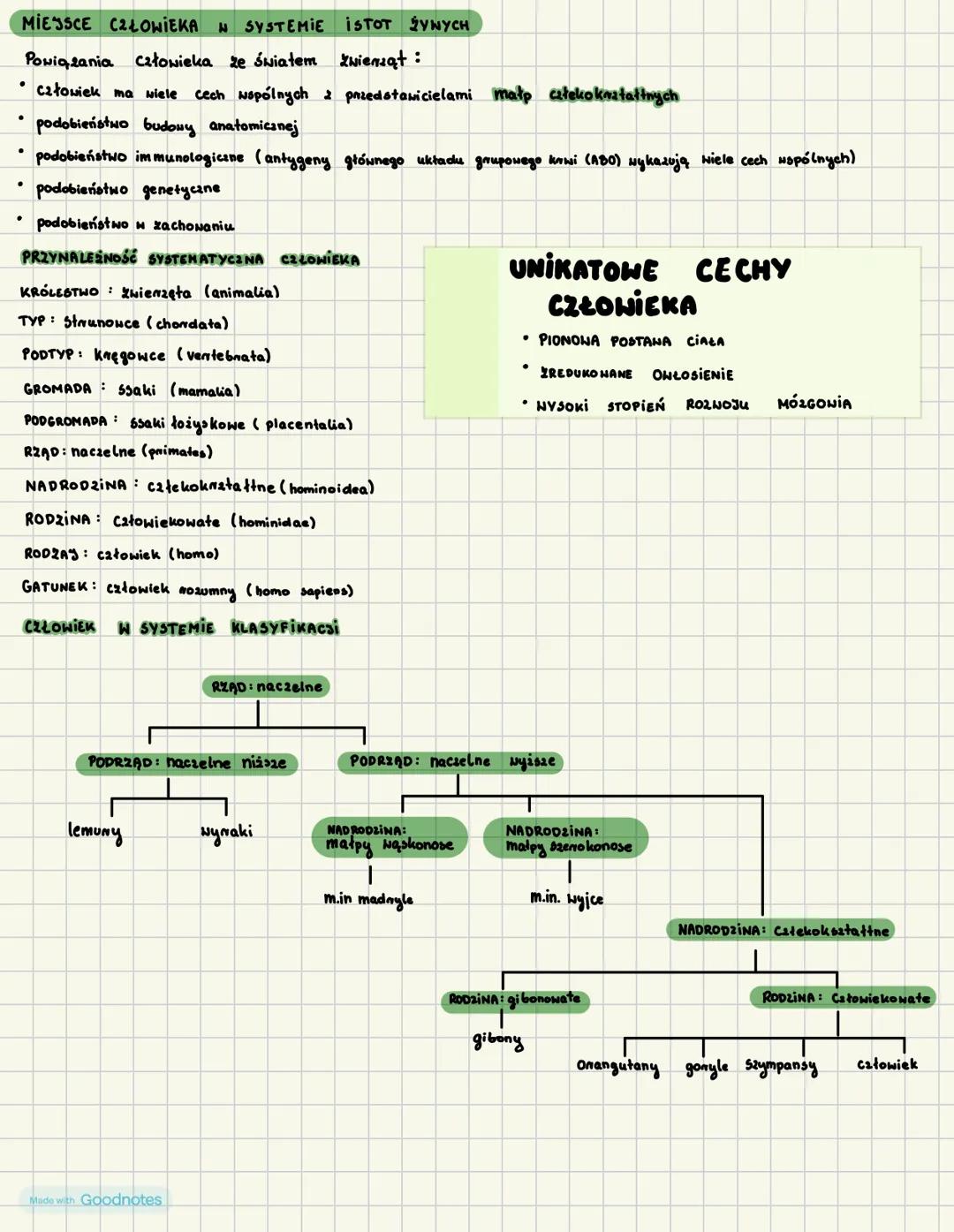 # MIEJSCE CZŁOWIEKA N SYSTEMIE ISTOT ŻYNYCH
Powiązania człowieka ze światem Zwierząt:
* Człowiek ma wiele Cech wspólnych z przedstawiciel