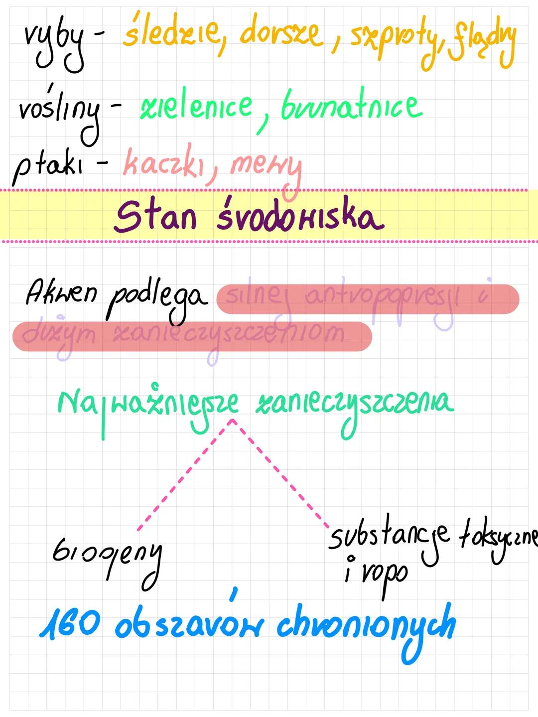 # MORZE BALTYCKIE
powierzchnia - 415000 km² $\frac{1}{3}$ więcej
dno - zbiornik płytki niż Polska
śv. głębokość - 52 m
najgłębsze miejsce