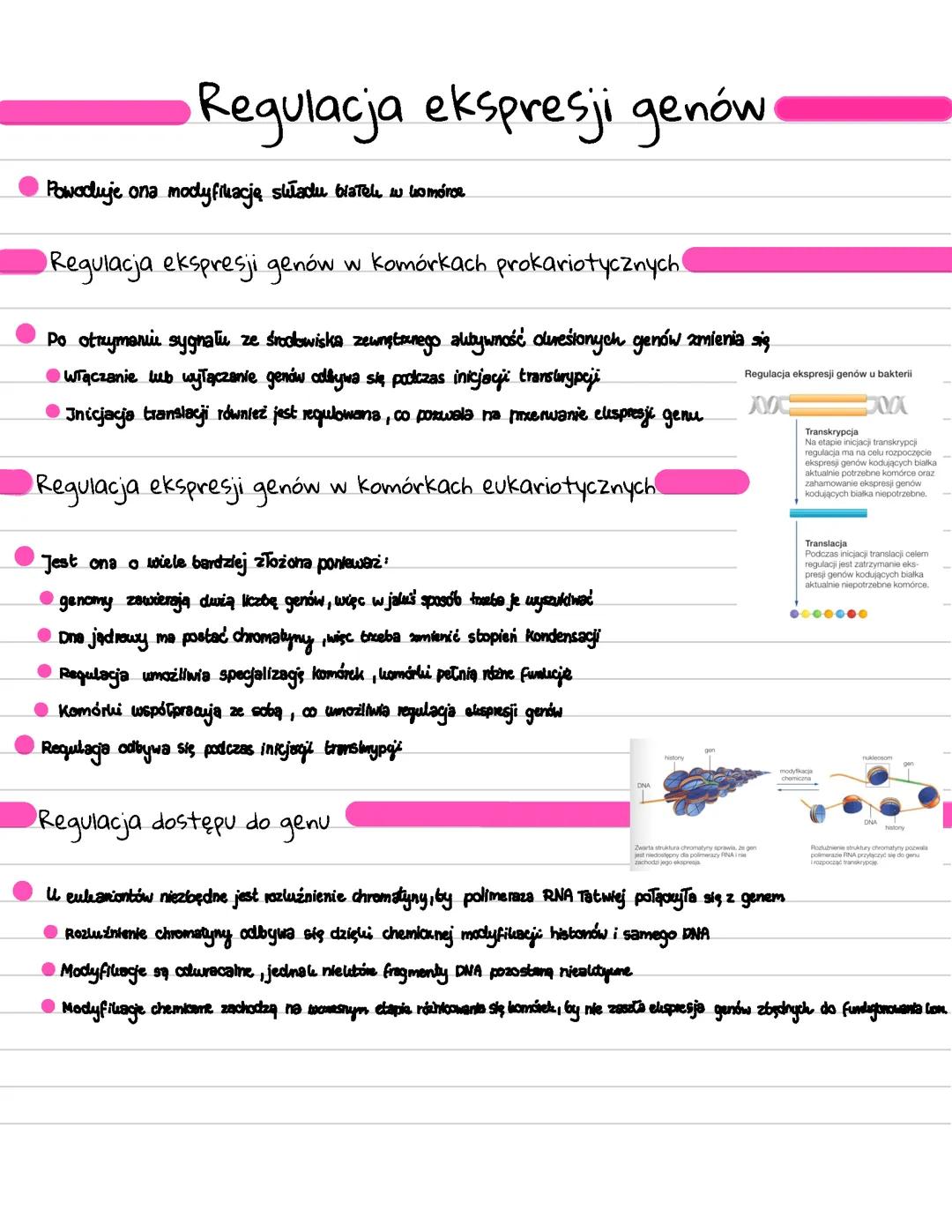 Regulacja ekspresji genów