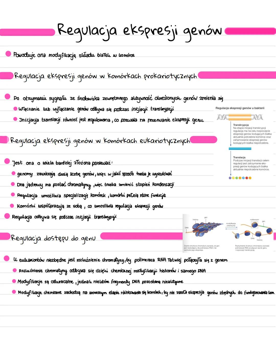Regulacja ekspresji genów
Powoduje ona modyfikację składu białek w komórce
Regulacja ekspresji genów w komórkach prokariotycznych!
Po otrzym