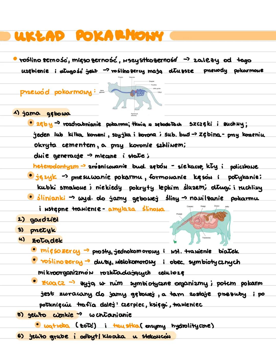 Saki
stato cieplne
matozowina uszna i k. stuchone
heterodontyzm (zęby)
7 kręgów na odc. szyjnym
owłosienie ciała
karmienie mlekiem
ob. pnepo