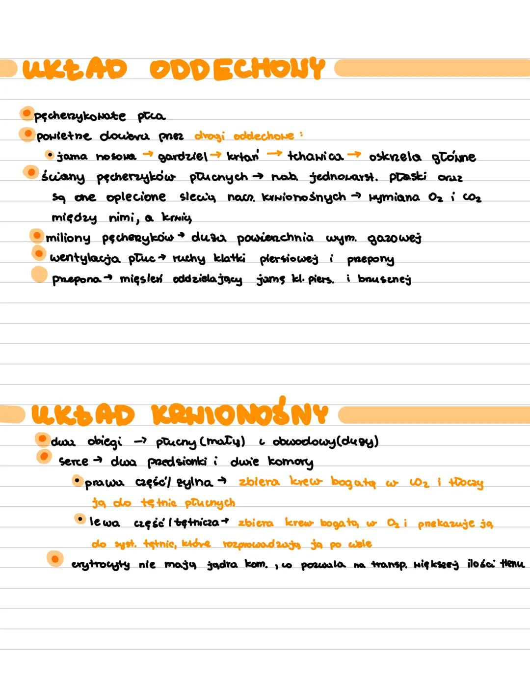 Saki
stato cieplne
matozowina uszna i k. stuchone
heterodontyzm (zęby)
7 kręgów na odc. szyjnym
owłosienie ciała
karmienie mlekiem
ob. pnepo