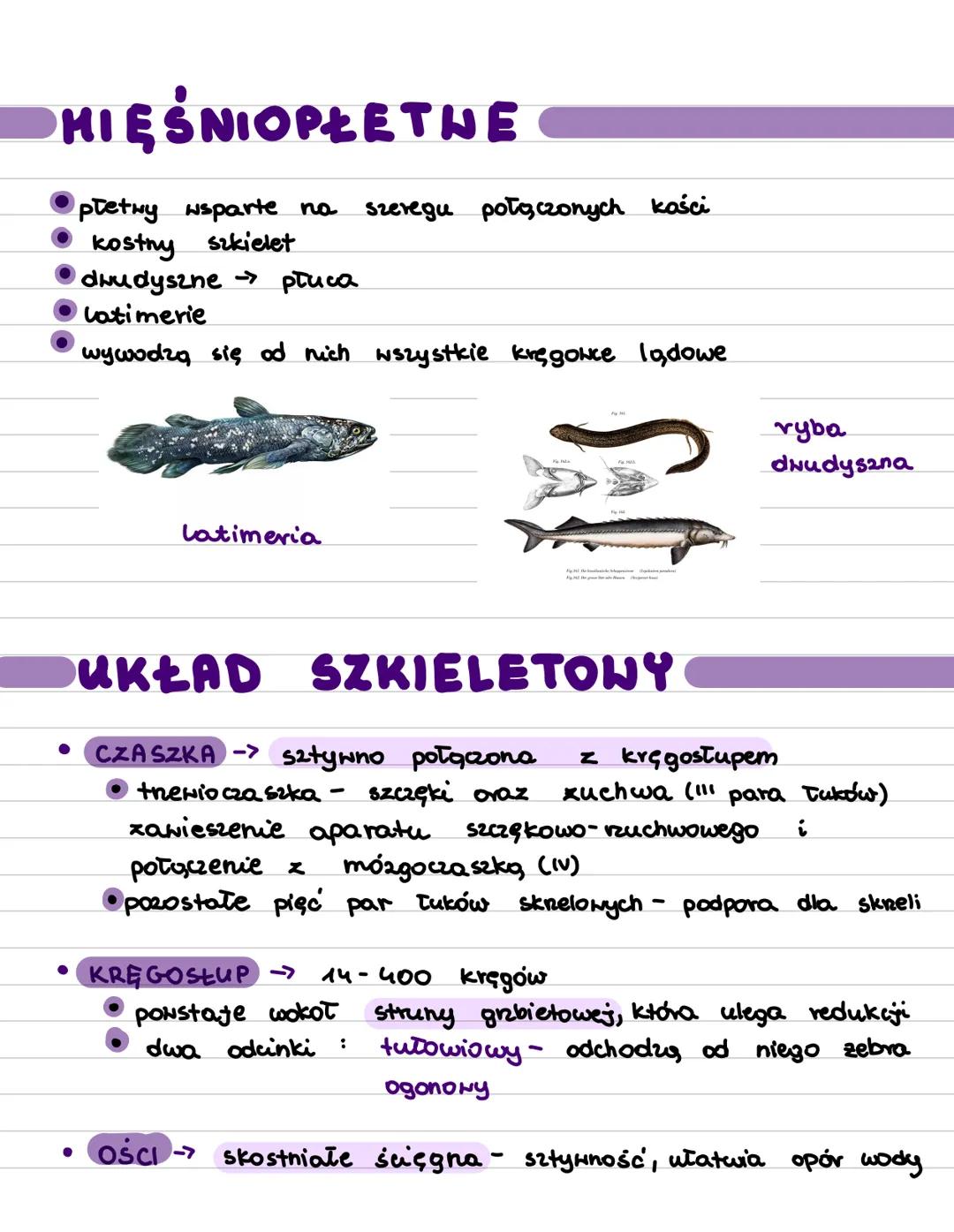 ->
skrzela
Ryby
pierwotnie wodne
wody słone i słodkie
zmiennociepine
wymiana gazowa
OGÓLNA BUDOWA
kształt ciała zależy od
środowiska zycia
u