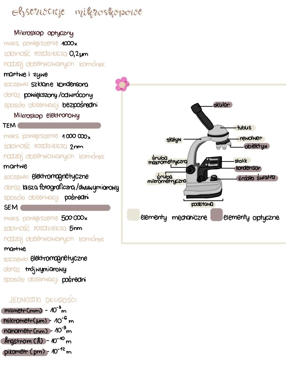 # obserwuje mikroskopose
Mikroskop optyczny
maks. powiększenie 1000x
zdolność rozdzielcza 0,2µm
nodzaj obserwowanych komórek
martwe i żywe