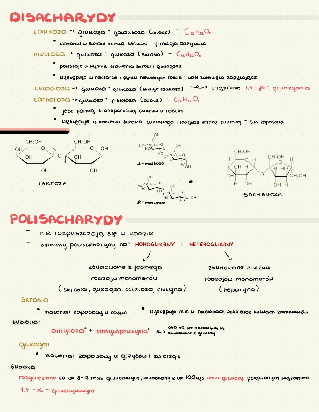 # SACHARYDY
SACHARYD = CUKRY + WĘGLOWODANY
## Znaczenie sacharylów
- funkcja energetyczna (glukoza)
- materiał zapasowy (u rościn: skrobia,