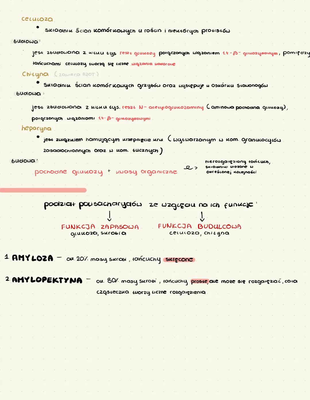 # SACHARYDY
SACHARYD = CUKRY + WĘGLOWODANY
## Znaczenie sacharylów
- funkcja energetyczna (glukoza)
- materiał zapasowy (u rościn: skrobia,