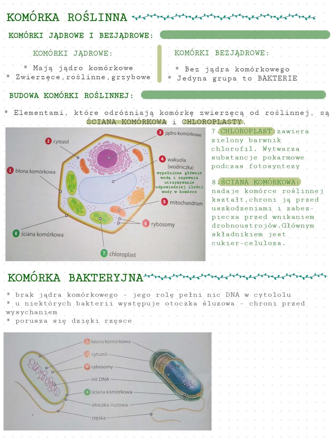 BUDOWA KOMÓRKI ZWIERZĘCEJ
*najmniejsza część organizmu zdolna do wykonywania czynności życiowych
* dzielimy je na: organizmy JEDNOKOMÓRKOWE
