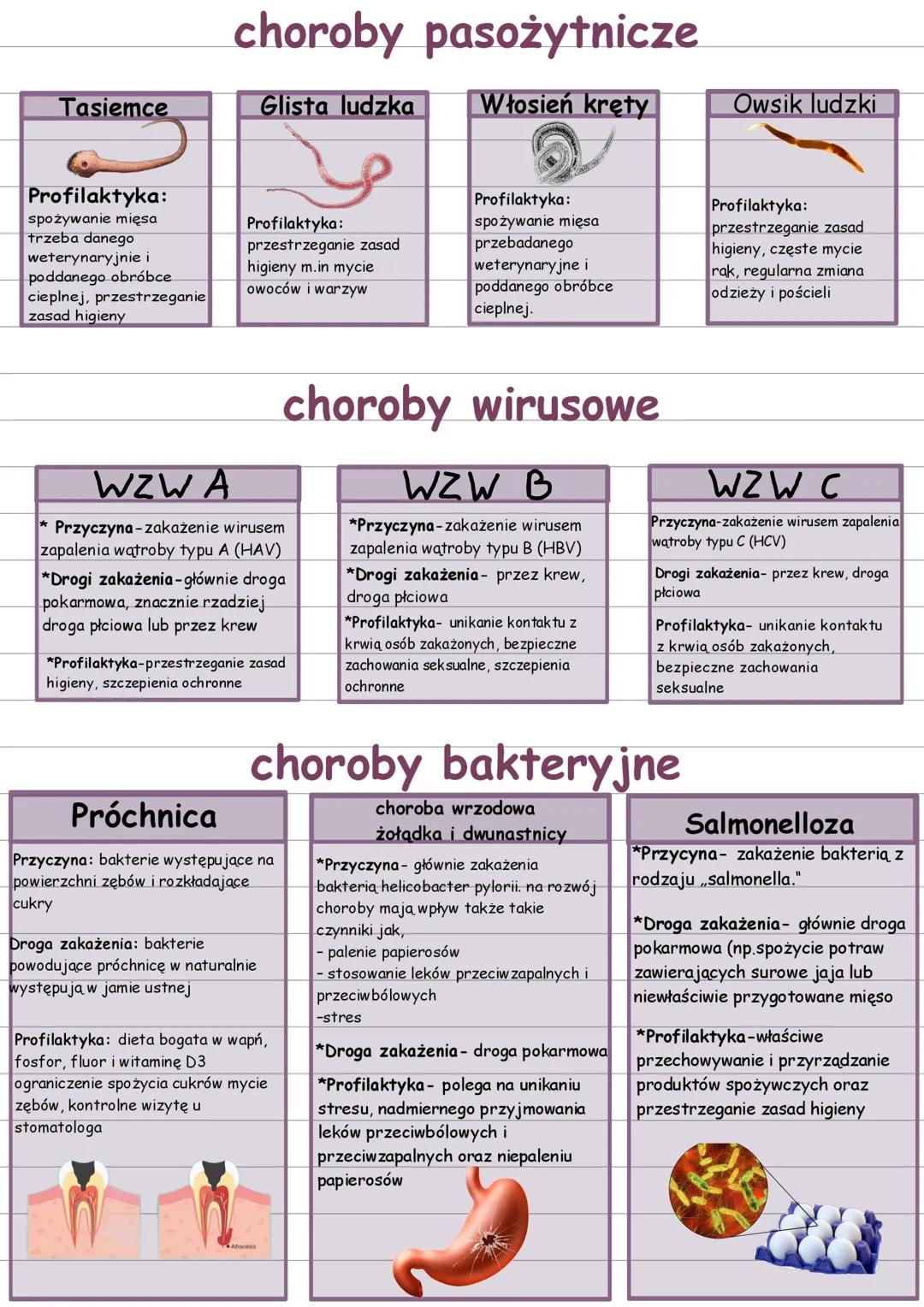 # choroby pasożytnicze
Tasiemce
Glista ludzka
Włosień kręty
Owsik ludzki
Profilaktyka:
spożywanie mięsa
trzeba danego
weterynaryjnie i
pod
