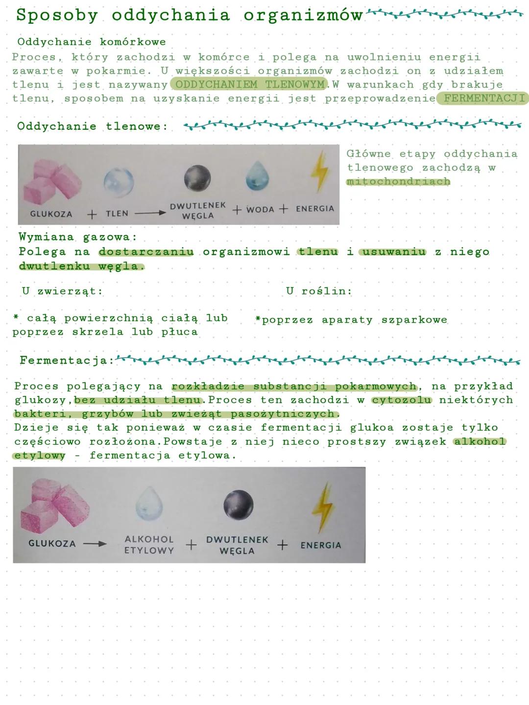 Sposoby oddychania organizmów
Oddychanie komórkowe
Proces, który zachodzi w komórce i polega na uwolnieniu energii
zawarte w pokarmie. U wię
