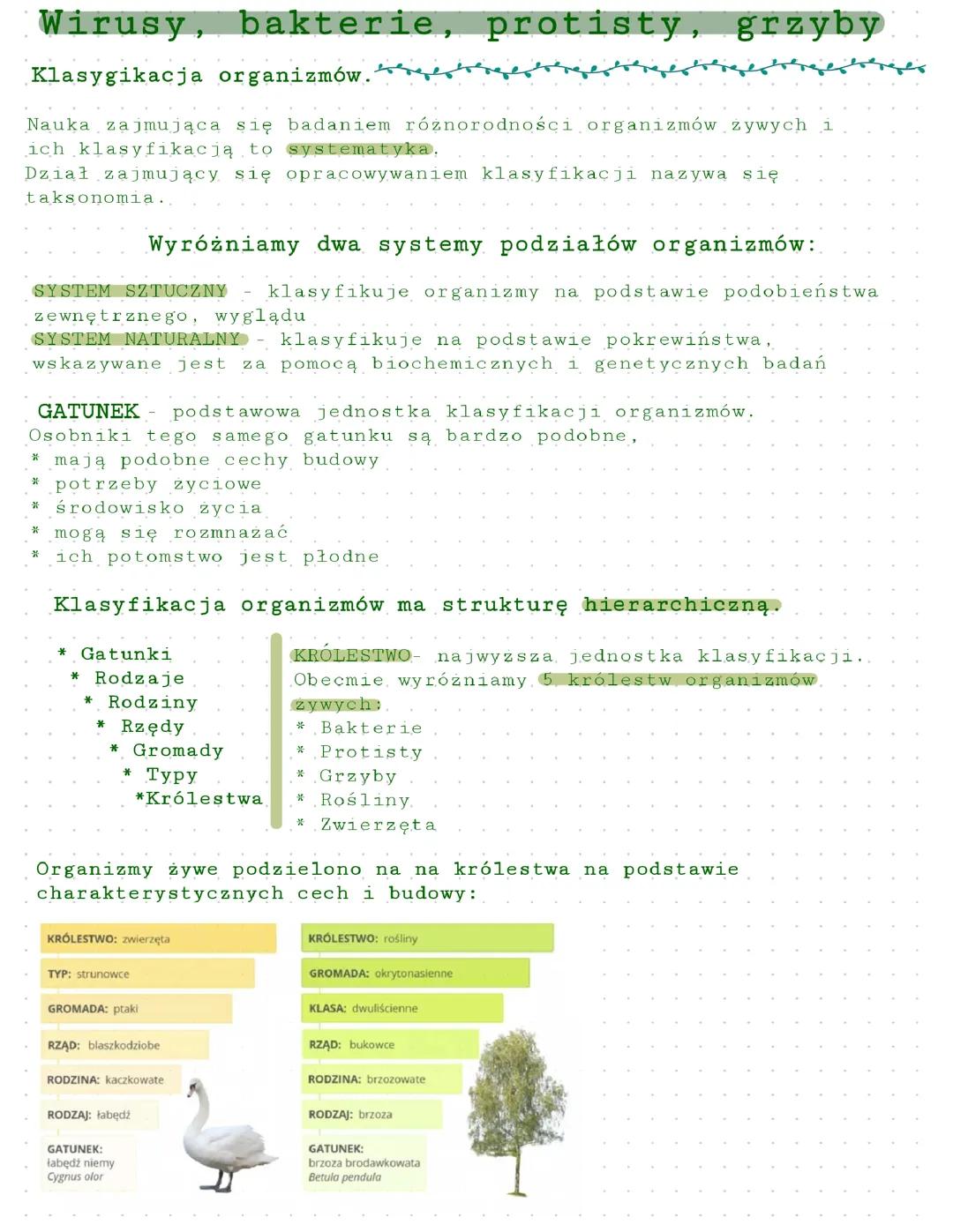 Klasyfikacja organizmów, wirusy i baktrie