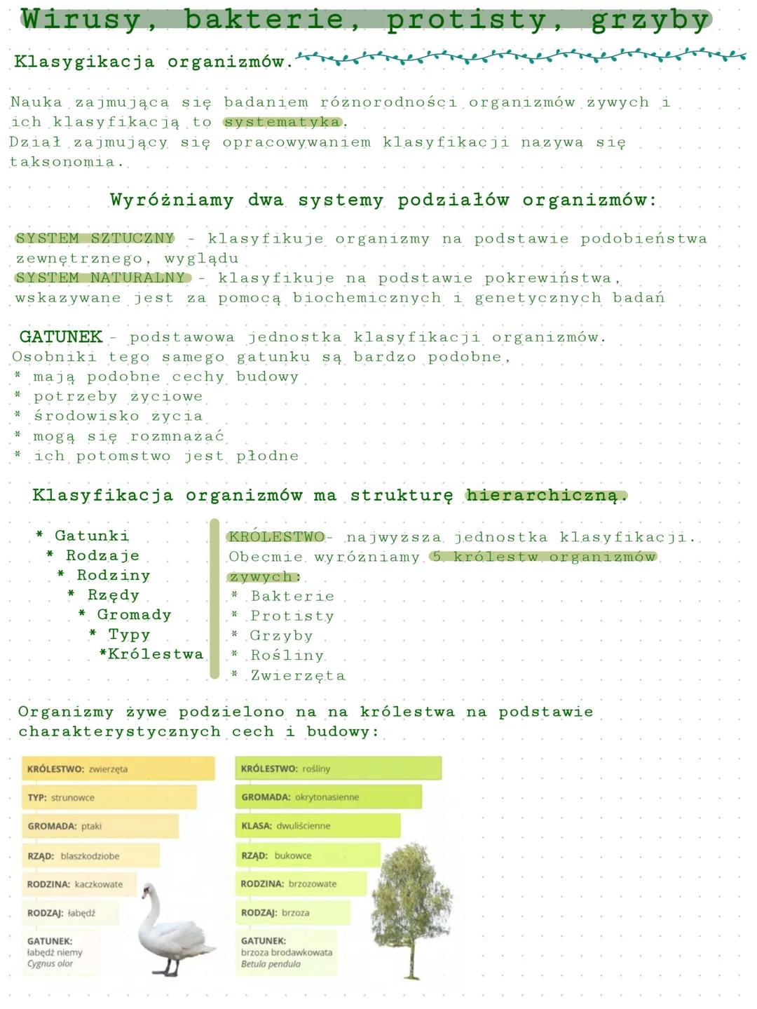 Wirusy, bakterie, protisty, grzyby
Klasygikacja organizmów.
Nauka zajmująca się badaniem różnorodności organizmów żywych i
ich klasyfikacją