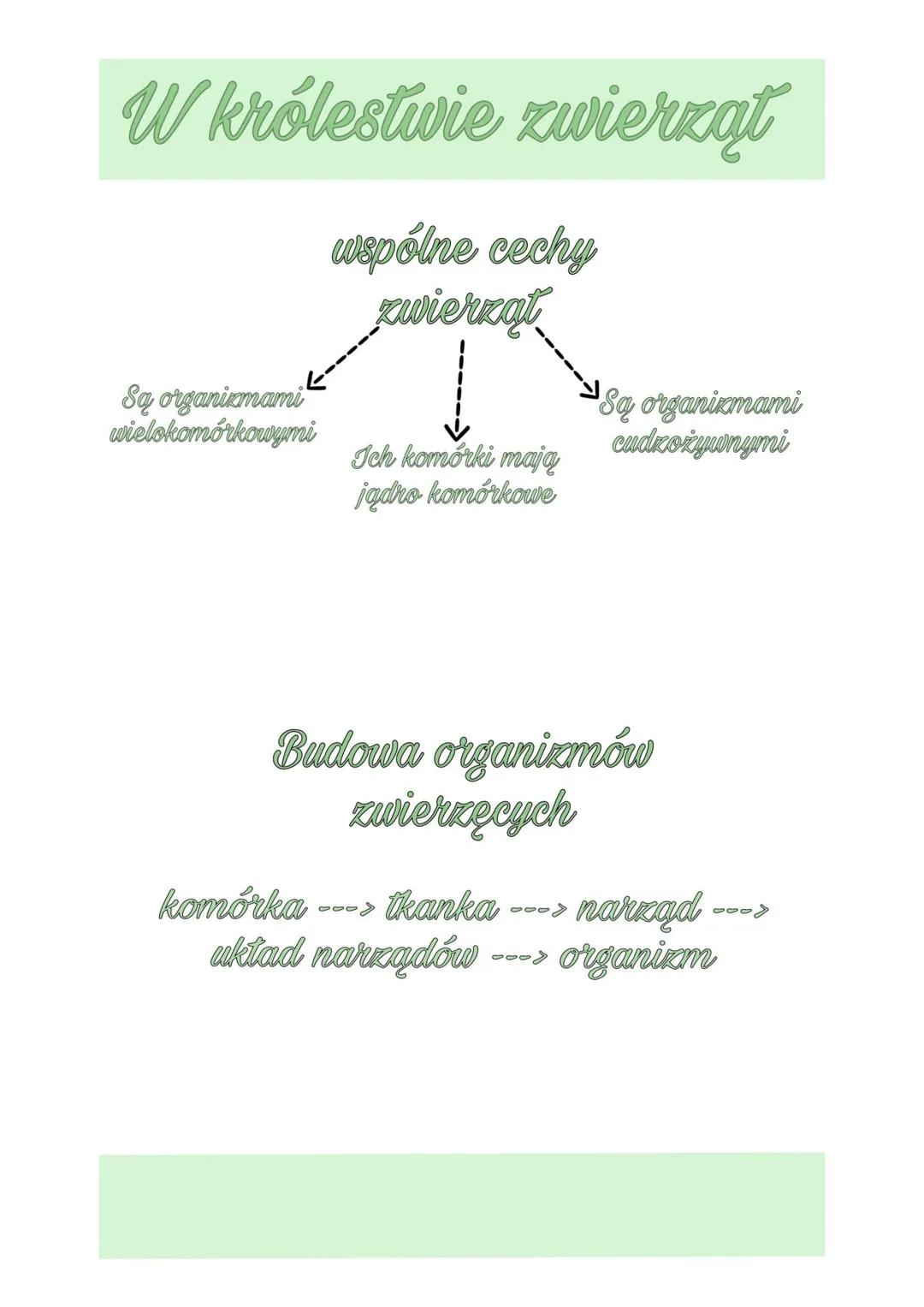 W królestwie zwierząt
wspólne cechy
zwierząt
Są organizmami
wielokomórkowymi
Ich komórki mają
jądro komórkowe
Są organizmami
cudzożywnym