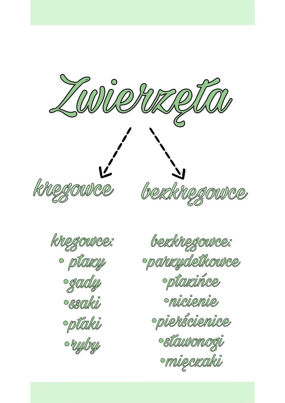 W królestwie zwierząt
wspólne cechy
zwierząt
Są organizmami
wielokomórkowymi
Ich komórki mają
jądro komórkowe
Są organizmami
cudzożywnym