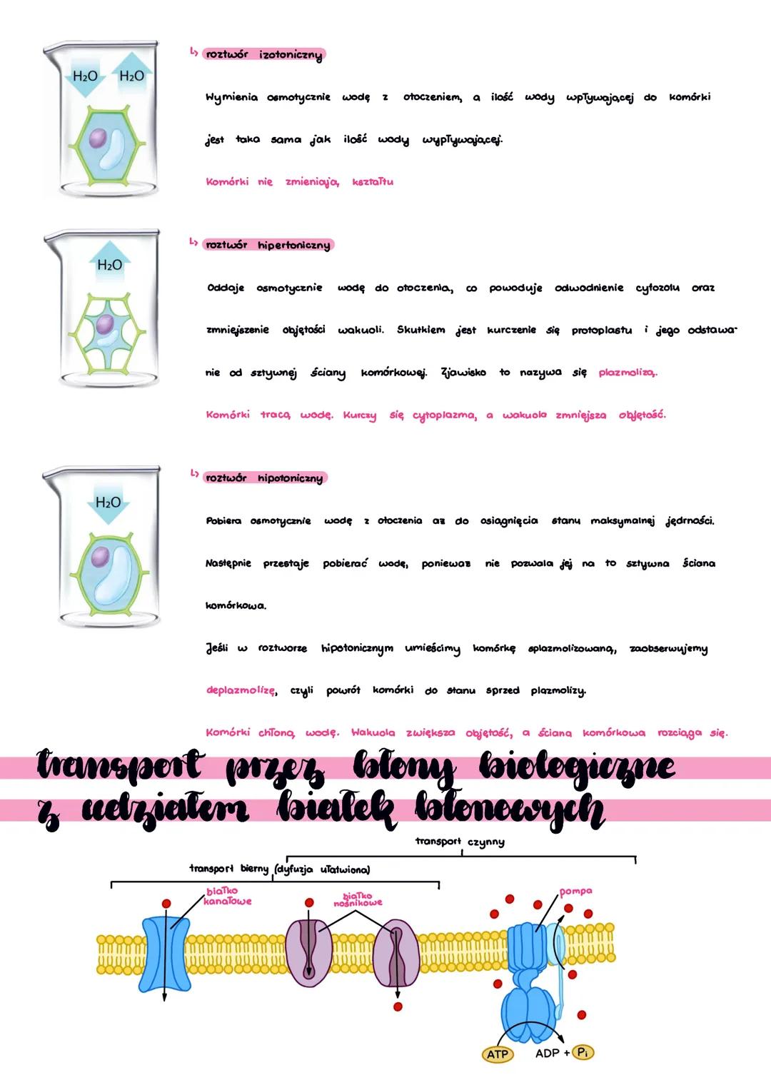 transport przez
Colony biologiczne
Transport przez błony komórkowe
jący dostarczenia energii
mozna ogólnie podzielić na wymagający dostarcze