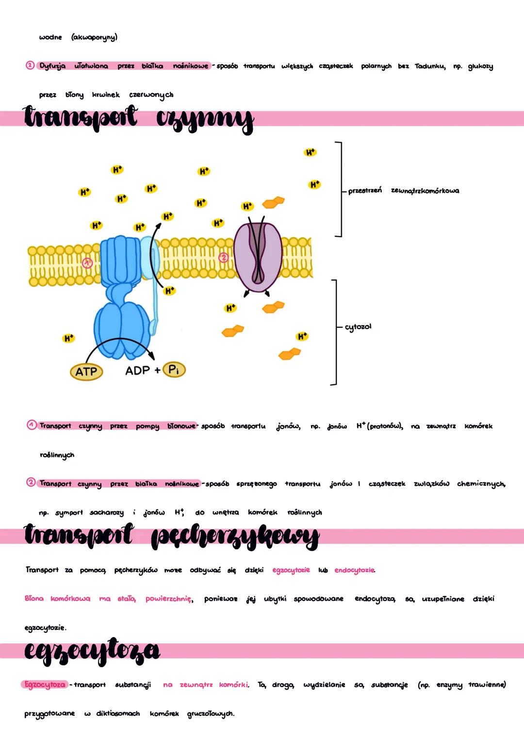 transport przez
Colony biologiczne
Transport przez błony komórkowe
jący dostarczenia energii
mozna ogólnie podzielić na wymagający dostarcze