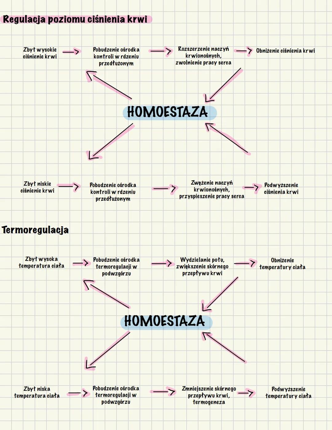 HOMEOESTAZA
HOMOESTAZA to inaczej równowaga wewnętrzna organizmu, zdolność do stabilizowania
parametrów takich jak: temperatura ciała, ciśn