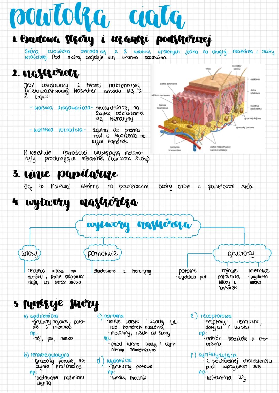 # powłoka ciata
1. Budowa Szory i tranzi podskórnej
Shora criowiena shtada się 2 warstw, utotonych jedna na drugiej naskórka i Skóry
właśc