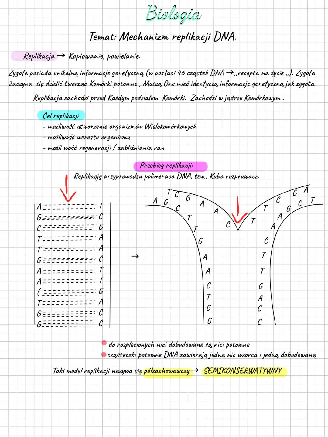```markdown
Biologia
Temat: Mechanizm replikacji DNA.
Replikacja → Kopiowanie, powielanie.
Zygota posiada unikalną informacje genetyczną (w