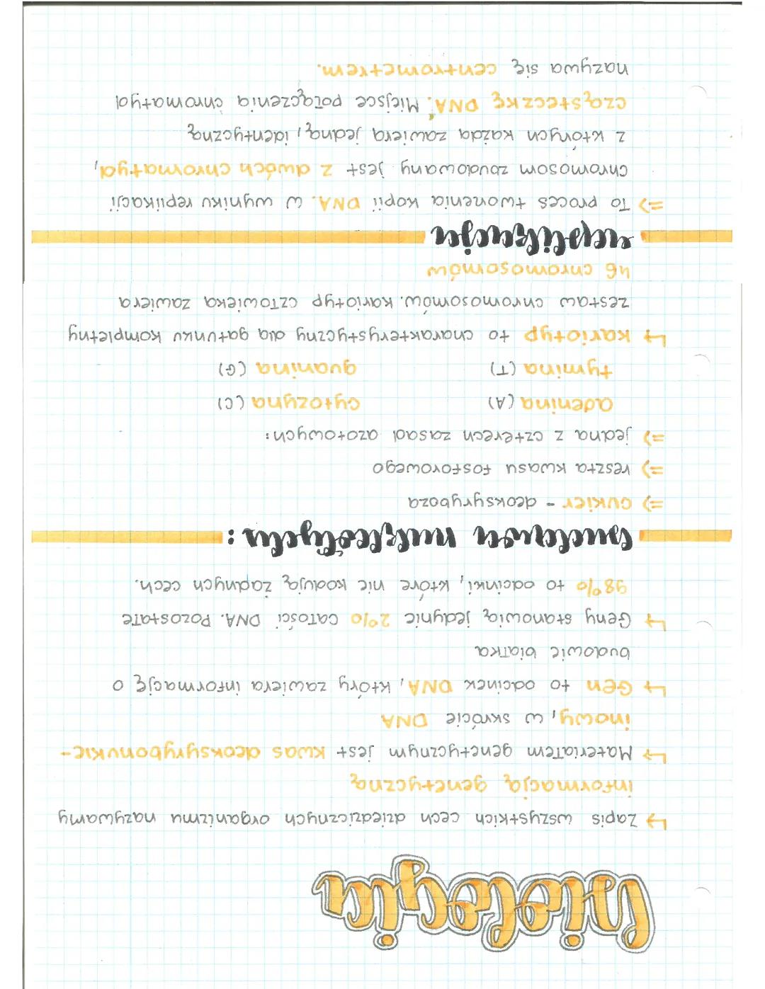 Nośnik informacji genetycznej - DNA