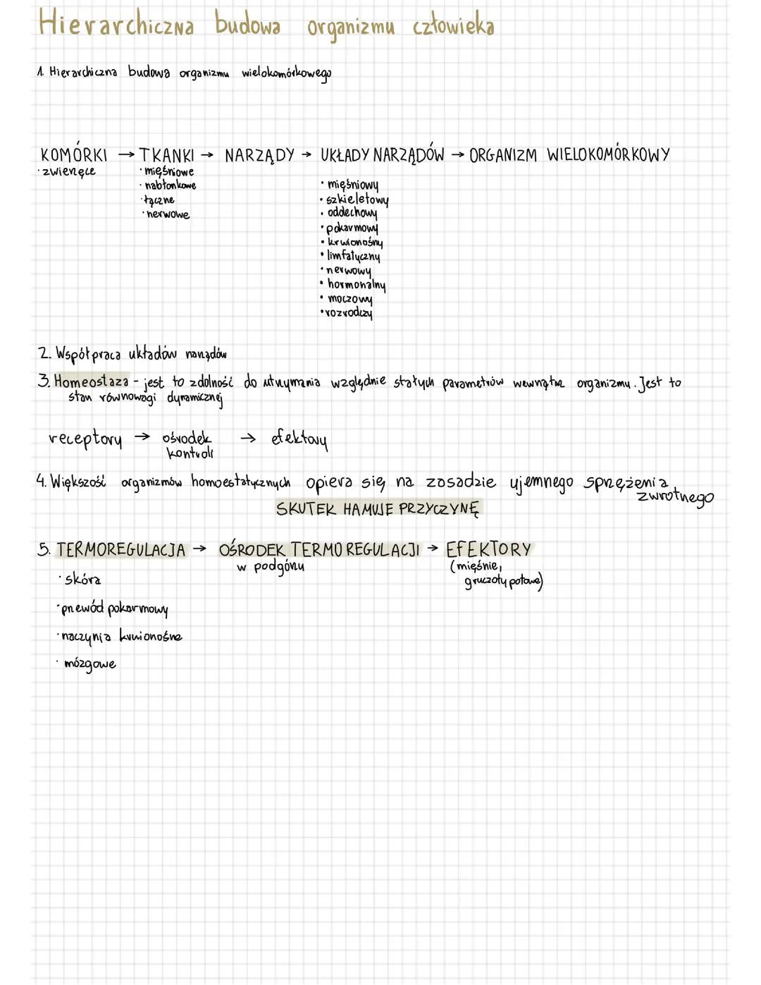 Hierarchiczna budowa organizmu człowieka