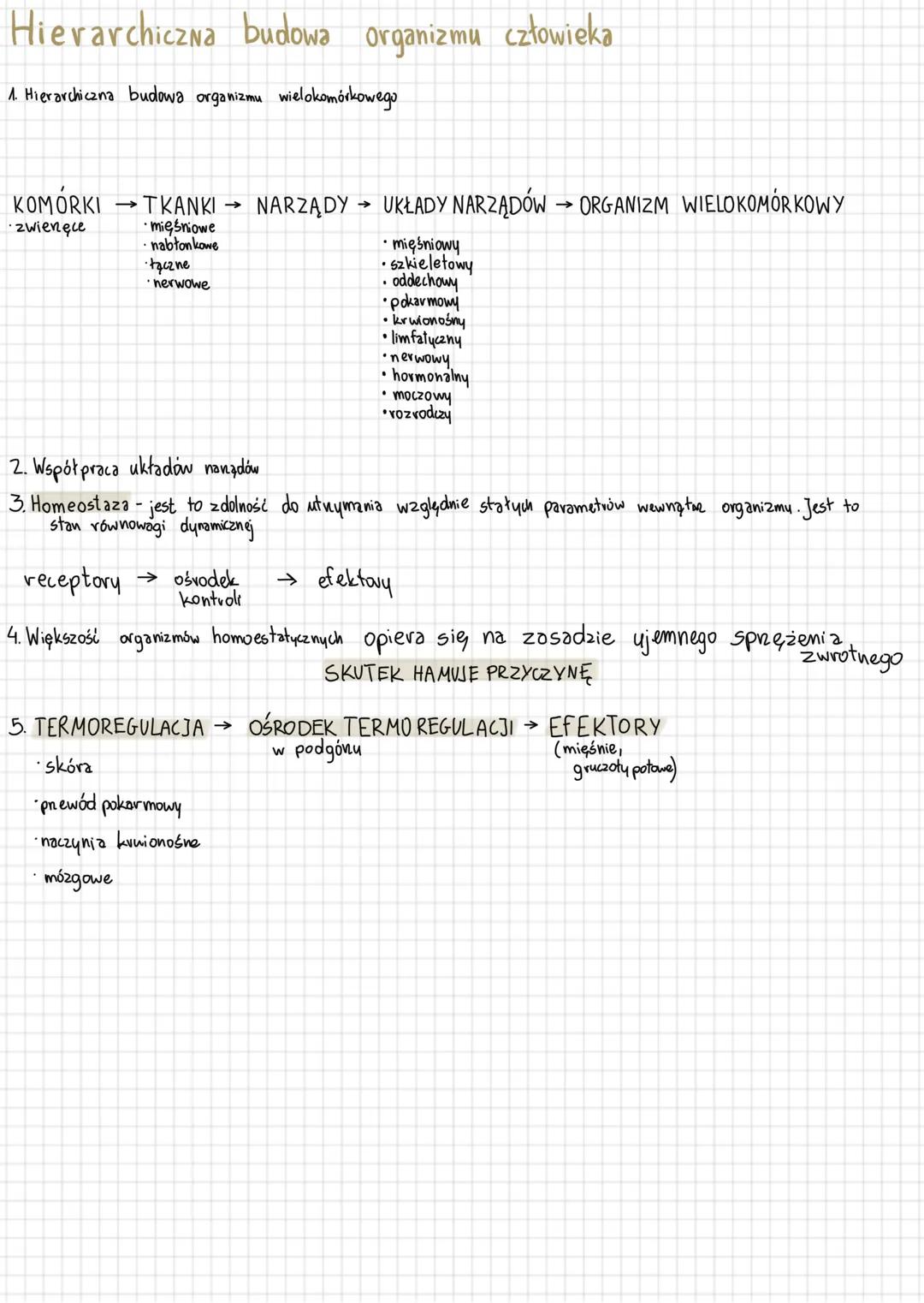 Hierarchiczna budowa organizmu człowieka
1. Hierarchiczna budowa organizmu wielokomórkowego
KOMÓRKI →TKANKI
->
NARZĄDY
→
mięśniowe
nabłonkow