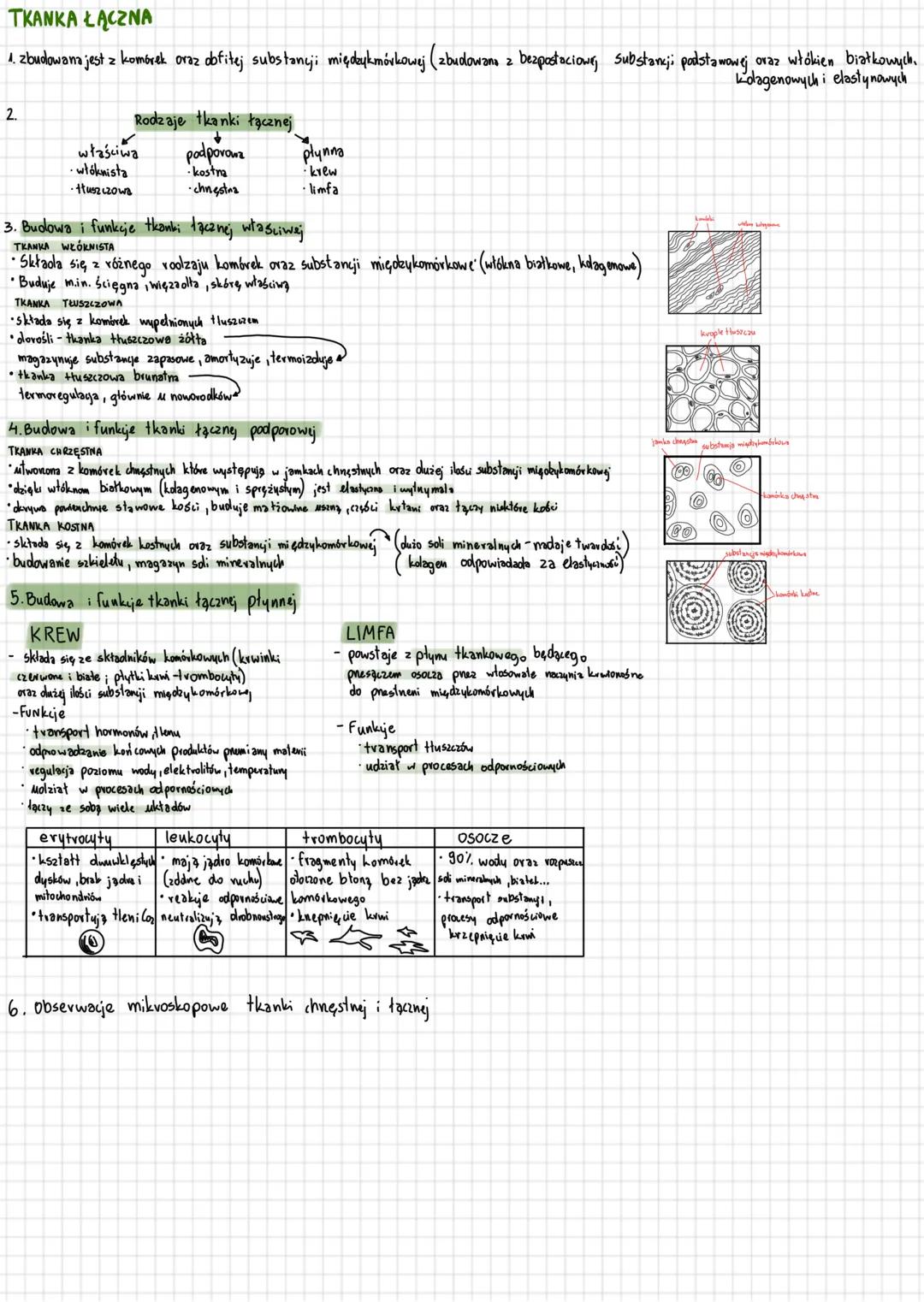 Hierarchiczna budowa organizmu człowieka
1. Hierarchiczna budowa organizmu wielokomórkowego
KOMÓRKI →TKANKI
->
NARZĄDY
→
mięśniowe
nabłonkow