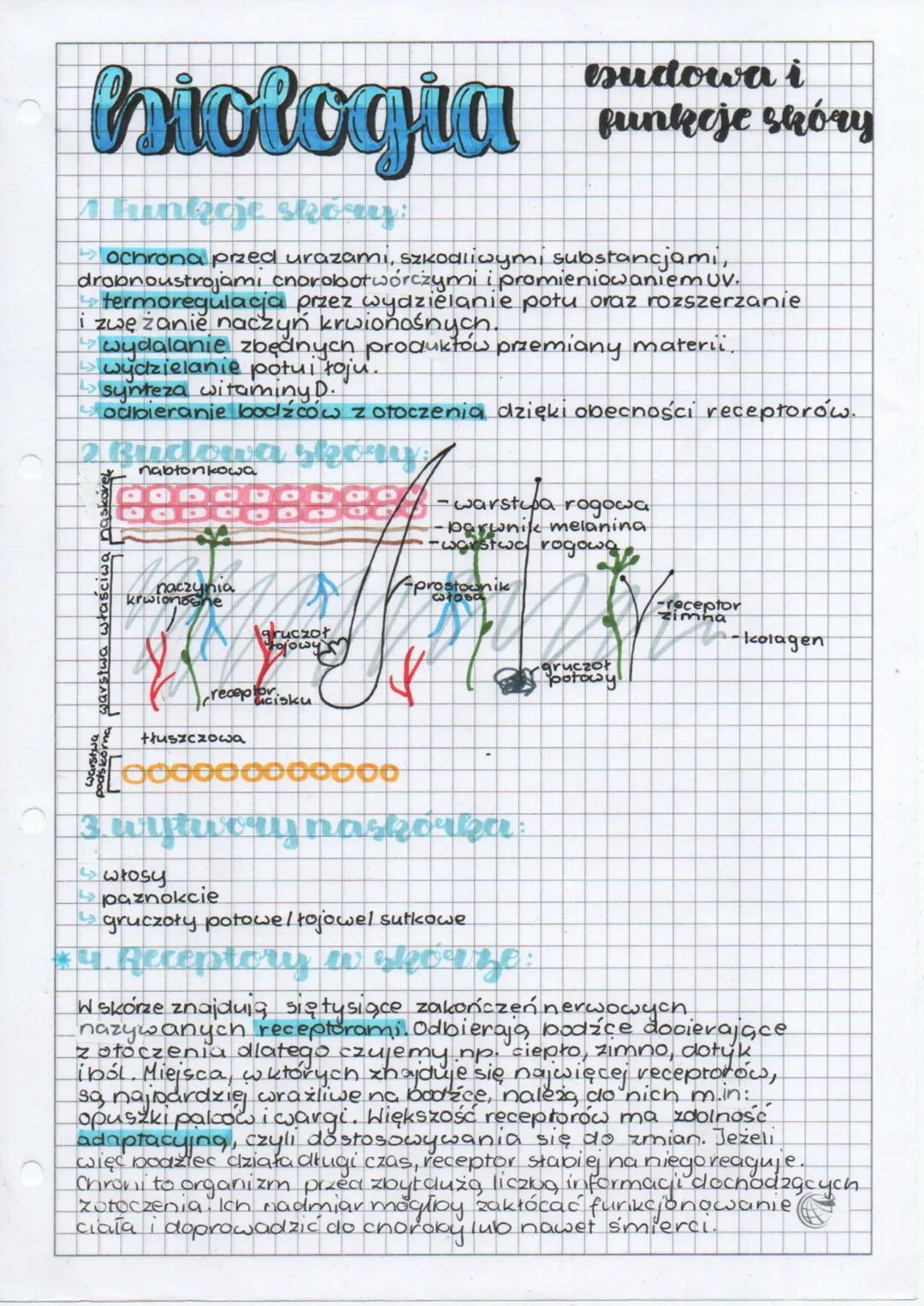 # esudowa i
# hiologia runkoje sacry
## A kinkoje skóry:
- ochrona przed urazamı, szkodliwymi substancjami,
- drobnoustrojami chorobotwórcz