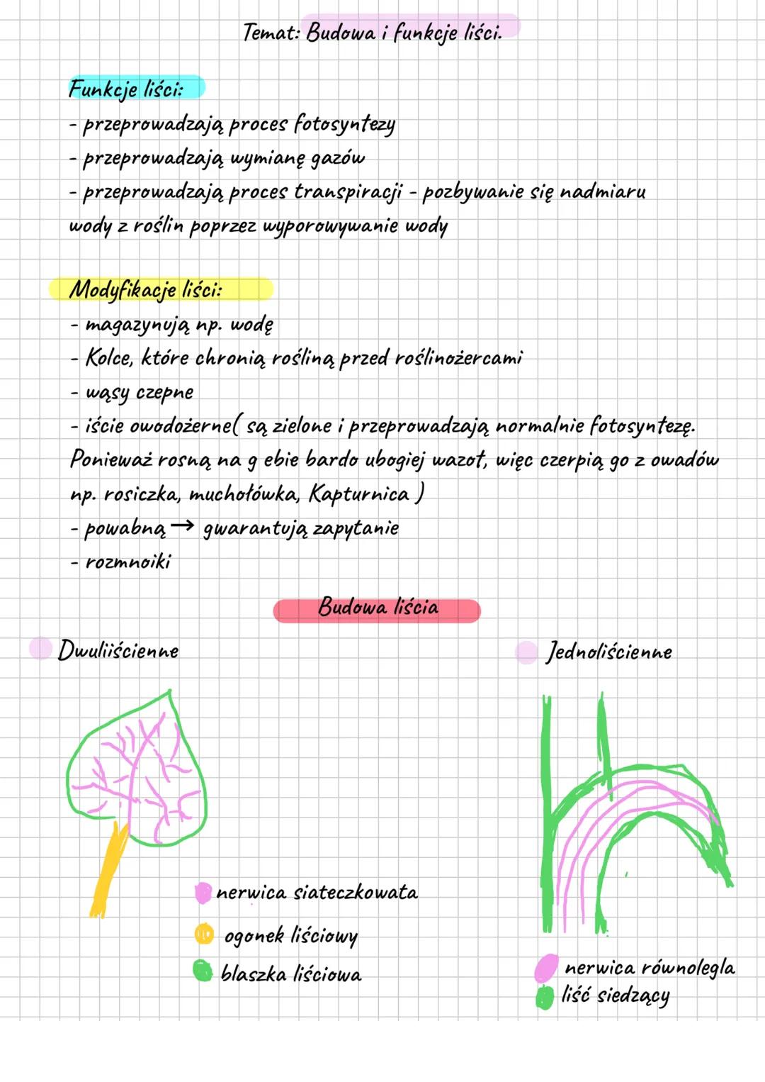 Funkcje liści:
Temat: Budowa i funkcje liści.
- przeprowadzają proces fotosyntezy
- przeprowadzają wymianę gazów
- przeprowadzają proces tra