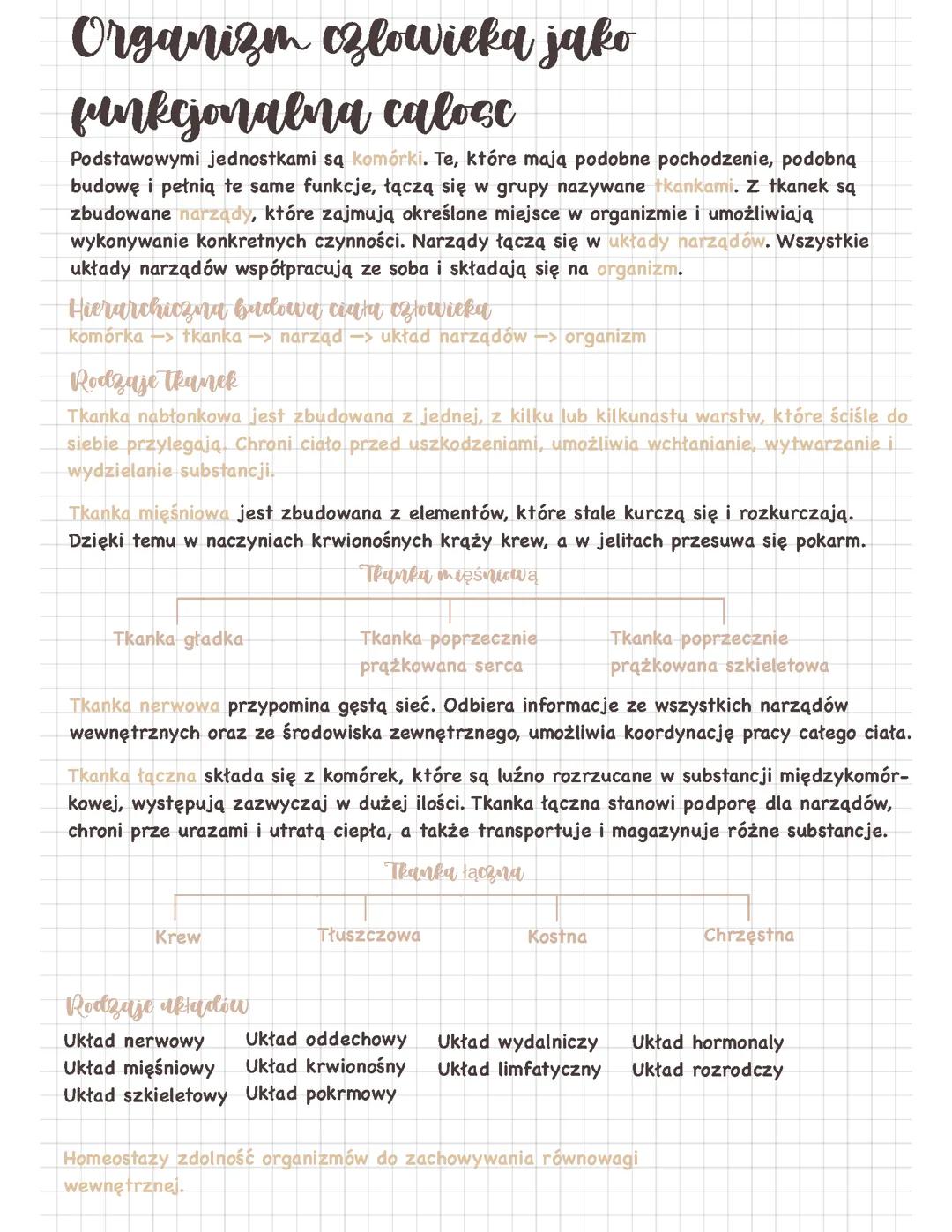 Organizm jako funkcjonalna całość