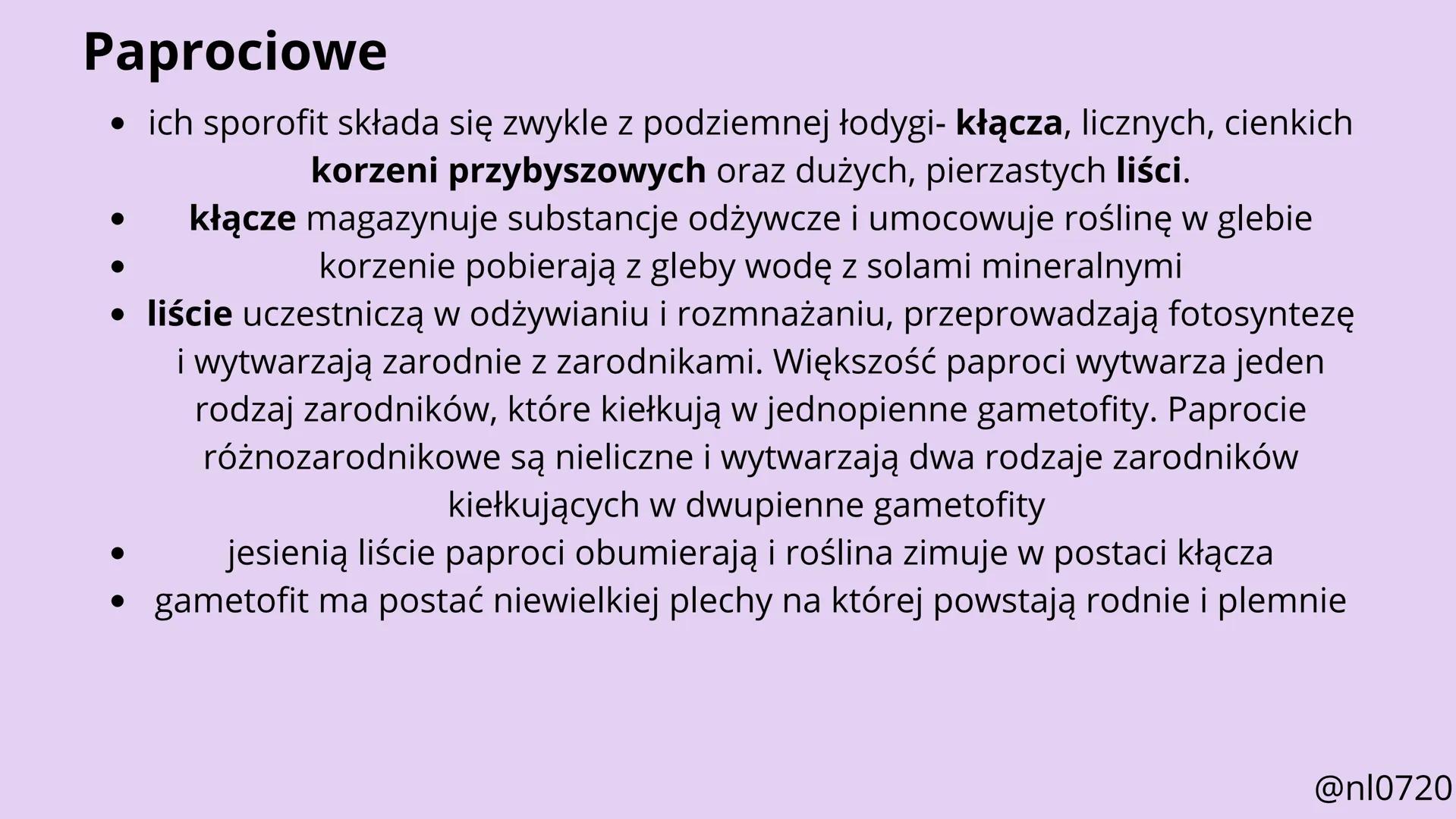 MCHY I PAPROTNIKI
@nl0720 MCHY:
• cechy
•
budowa
rozmnażanie
@nl0720 PAPROTNIKI:
cechy
paprociowe
budowa
skrzypowe
widłakowe
@nl0720 MCHY
@n