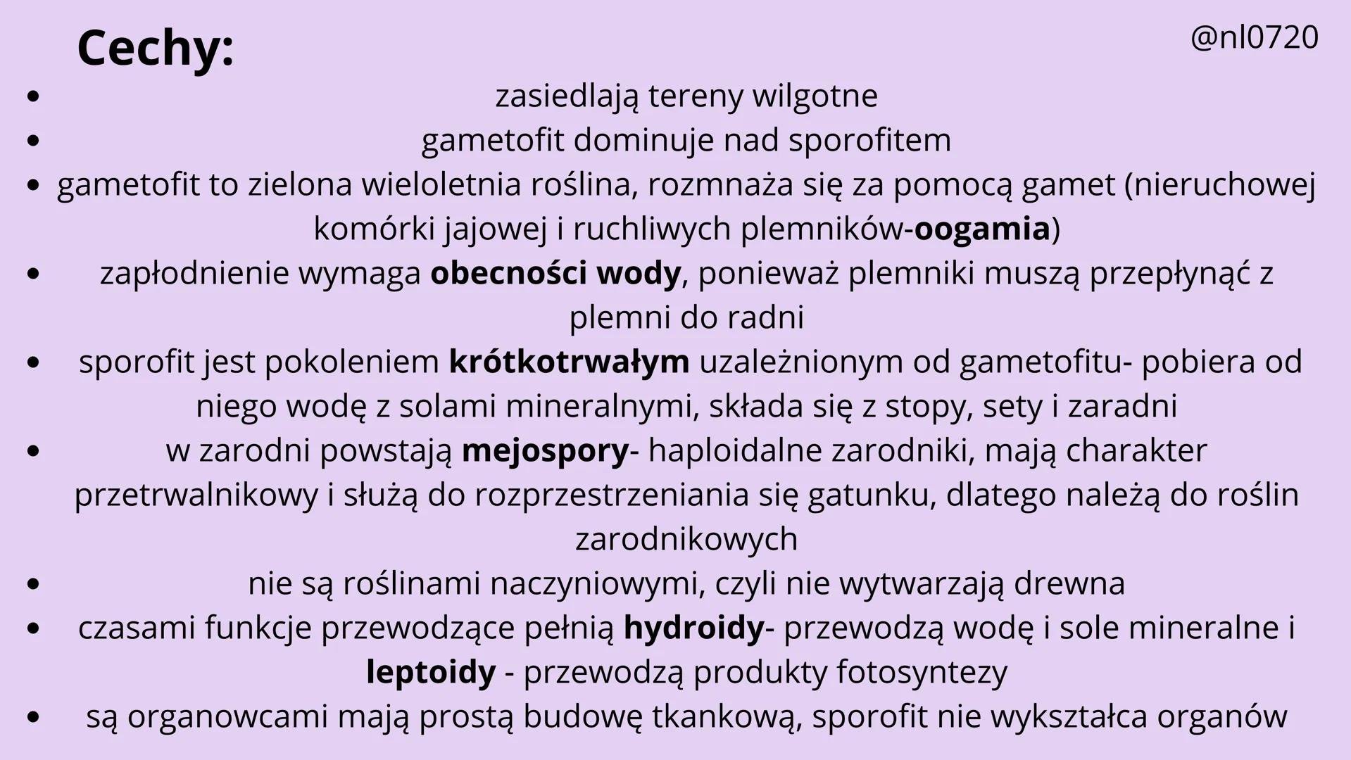 MCHY I PAPROTNIKI
@nl0720 MCHY:
• cechy
•
budowa
rozmnażanie
@nl0720 PAPROTNIKI:
cechy
paprociowe
budowa
skrzypowe
widłakowe
@nl0720 MCHY
@n