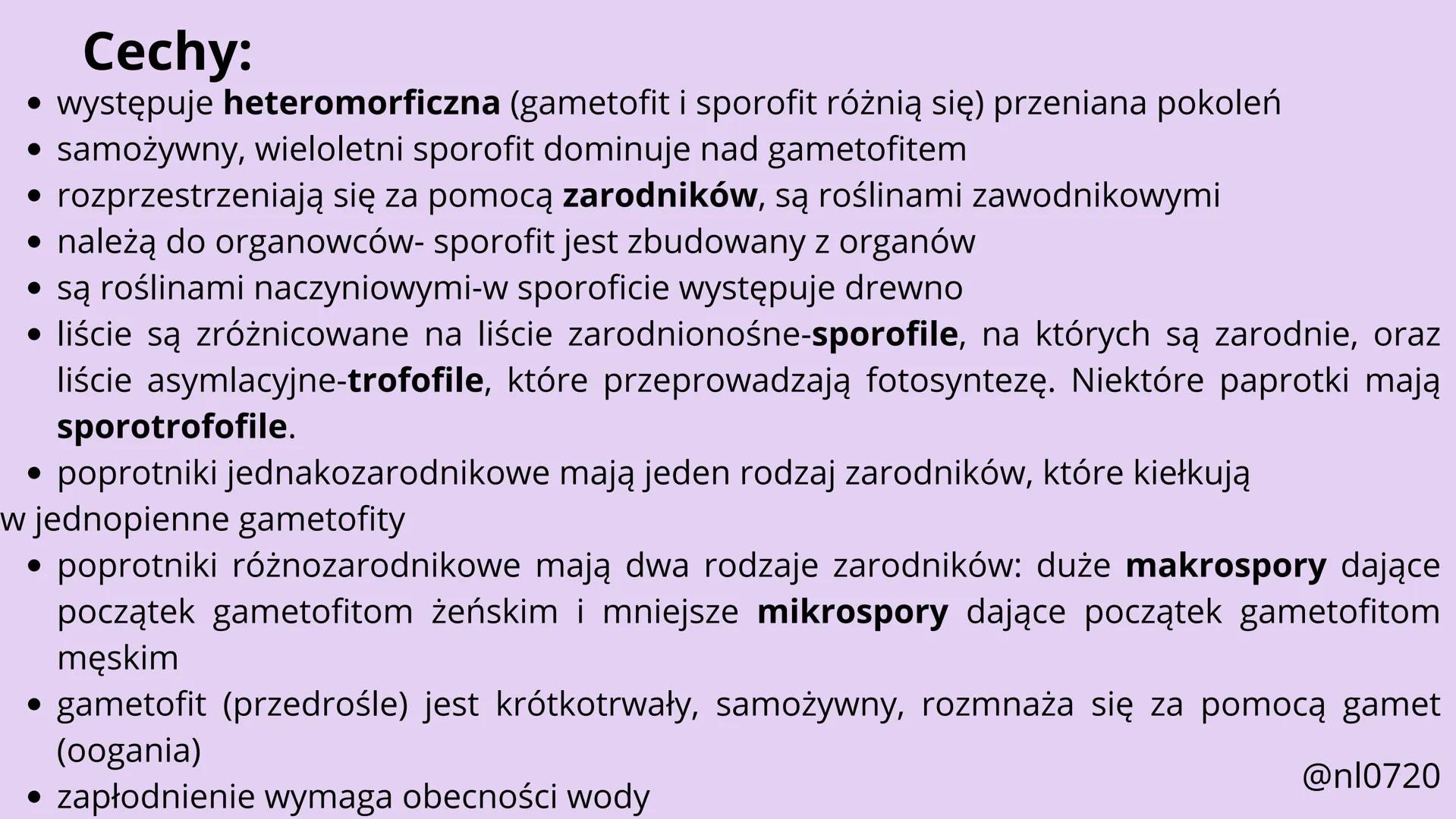 MCHY I PAPROTNIKI
@nl0720 MCHY:
• cechy
•
budowa
rozmnażanie
@nl0720 PAPROTNIKI:
cechy
paprociowe
budowa
skrzypowe
widłakowe
@nl0720 MCHY
@n
