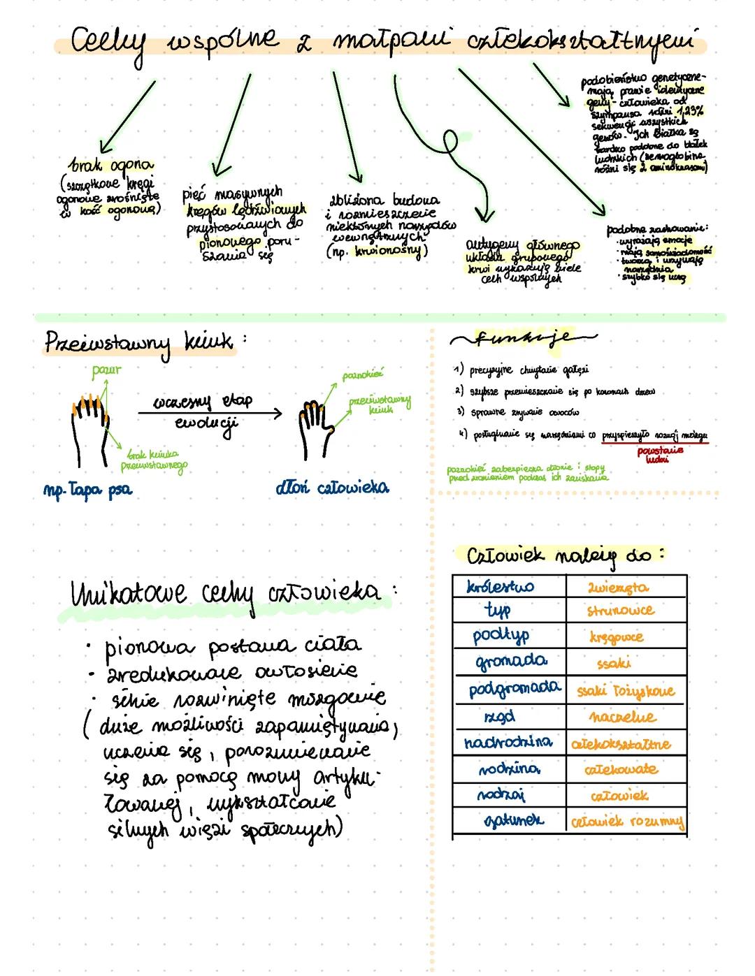 Miejsce człowieka w systemie klasyfikacji organizmów