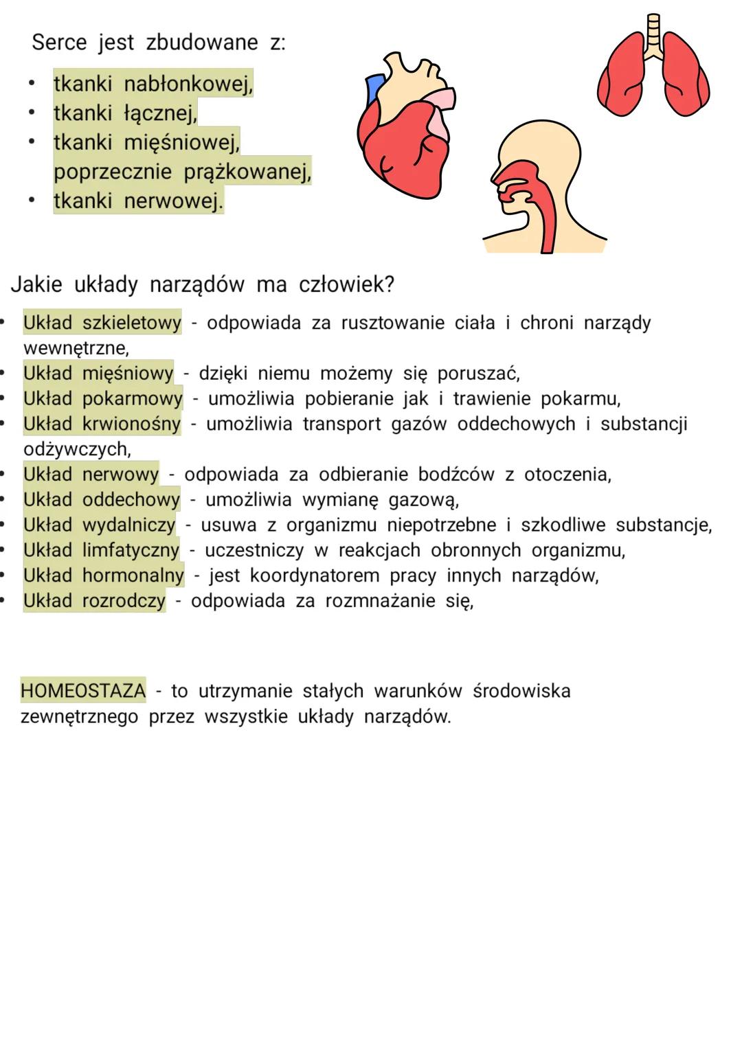 Biologia
Organizm człowieka jako funkcjonalna całość
Organizacja budowy ciała człowieka:
ссс
Tkanka mięśniowa
•
•
gładka
poprzecznie prążkow