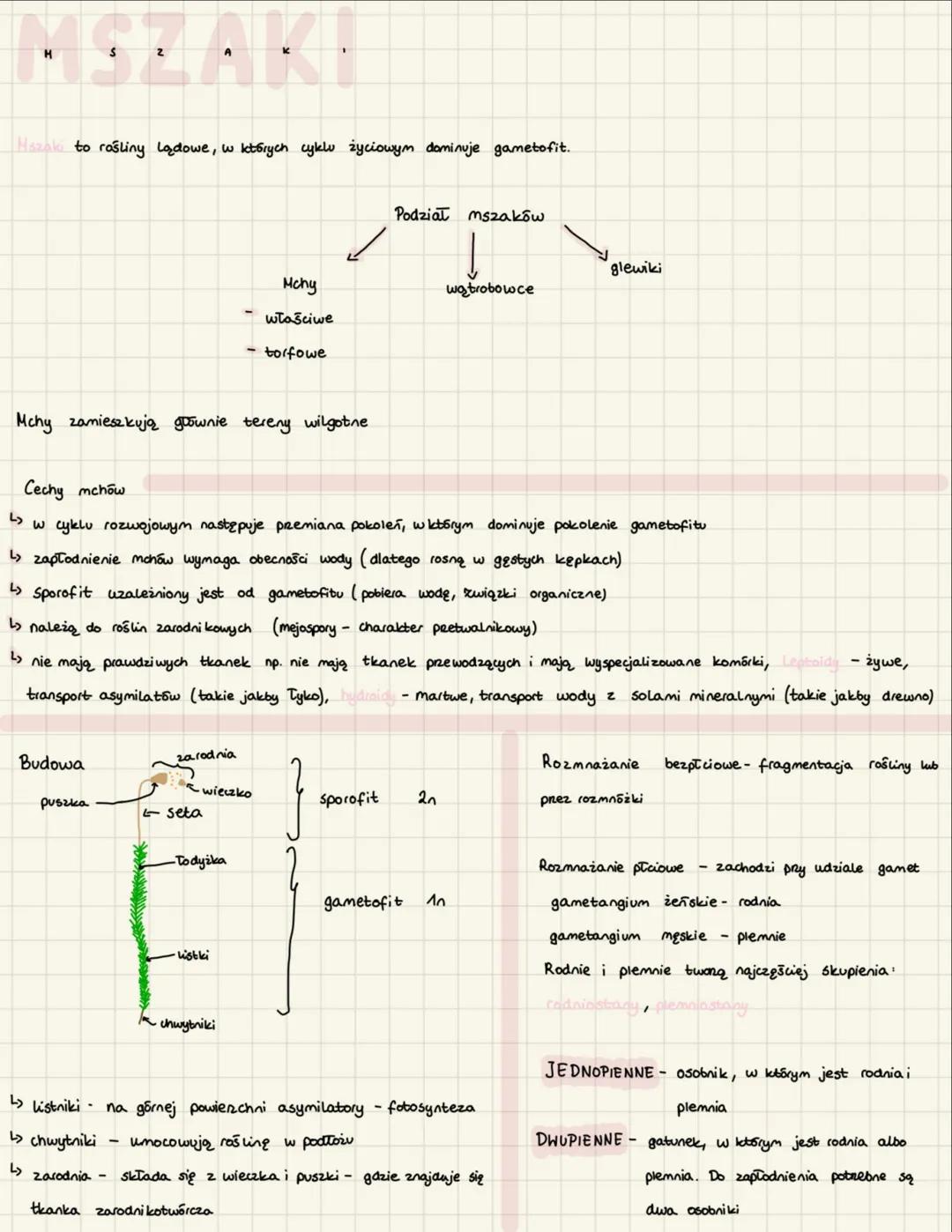 Hszaki to rośliny Lądowe, w których cyklu życiowym dominuje gametofit.
Mchy
właściwe
torfowe
Podział mszaków
glewiki
wątrobowce
Mchy zamiesz
