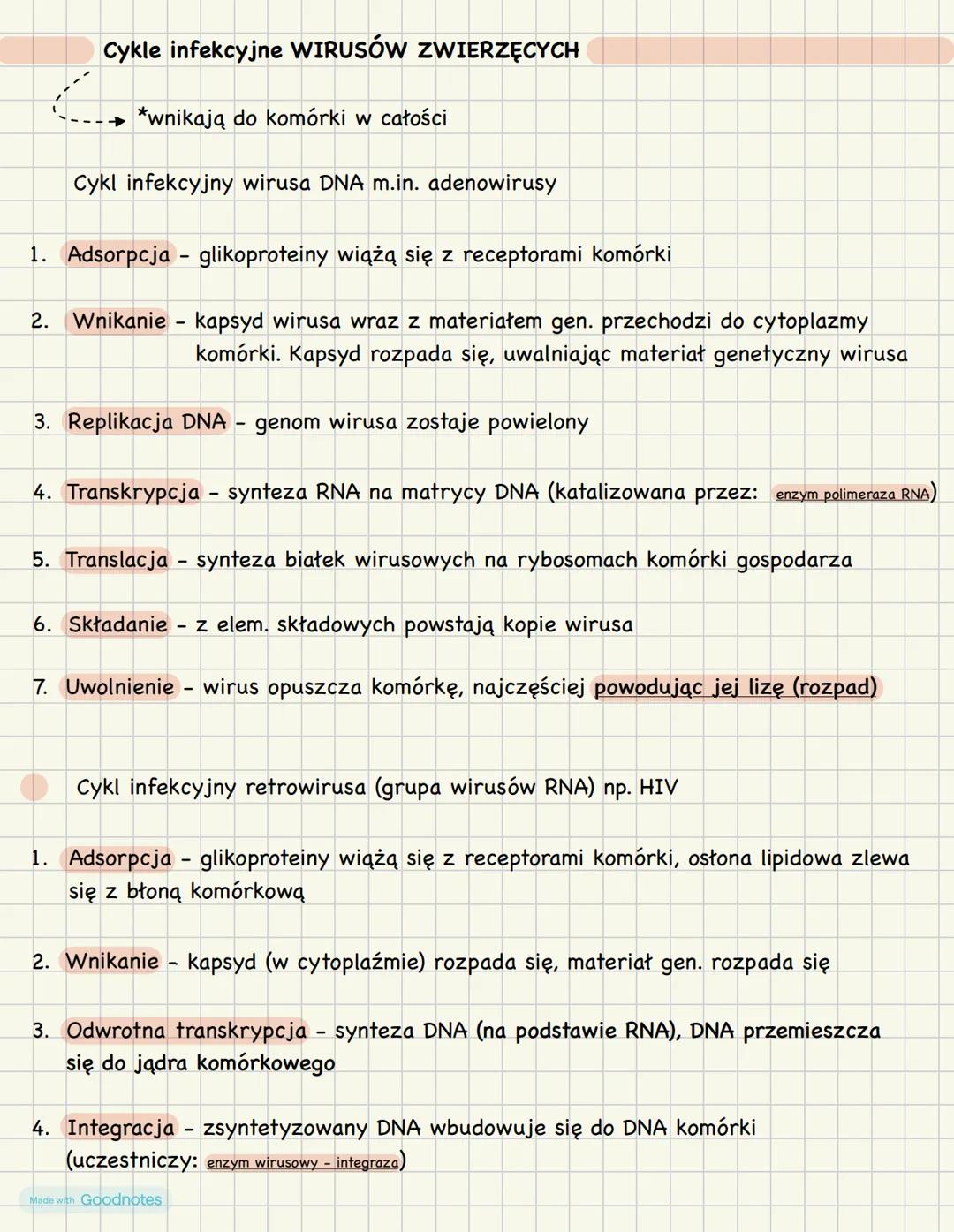 Wirusy - molekularne pasożyty
CZYNNIKI ZAKAŹNE
WEWNĄTRZKOMÓRKOWE PASOŻYTY
zbudowane z białka i kwasu
nukleinowego (DNA lub RNA)
nie są organ