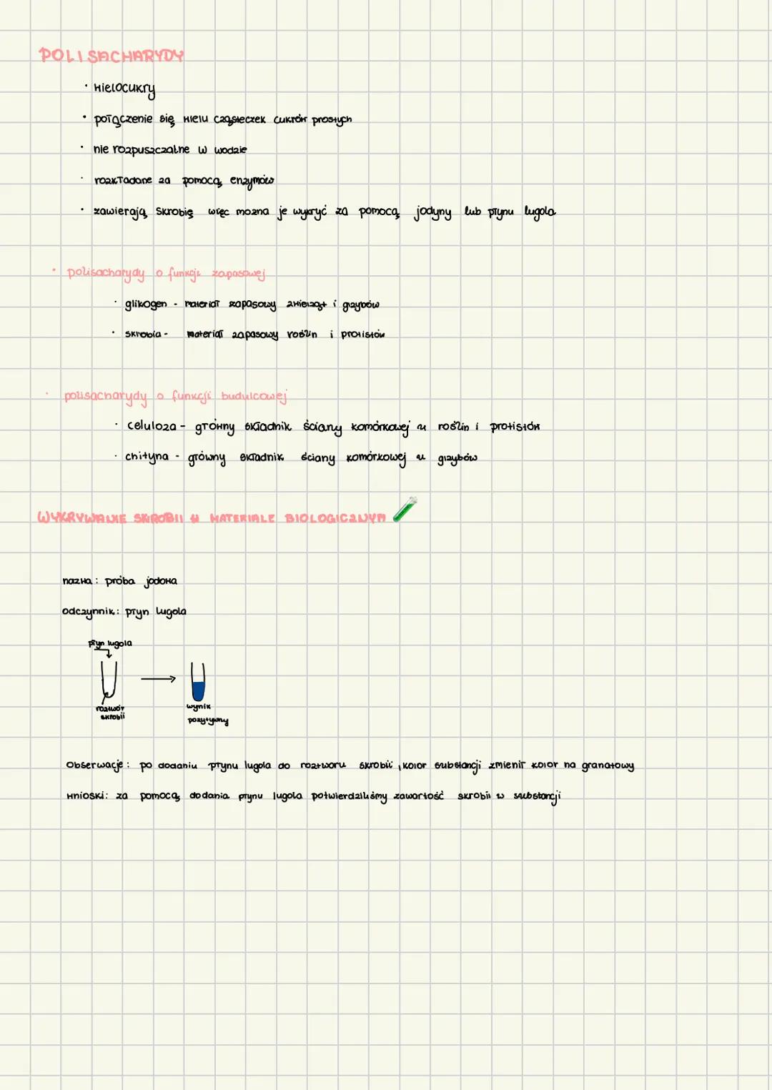 # Sacharydy
Sacharydy - cukry powstające w procesie fotosyntezy, zbudowane z węgla, Hodoru i tlenu, dzielimy
je na 3 grupy: monosacharyly,