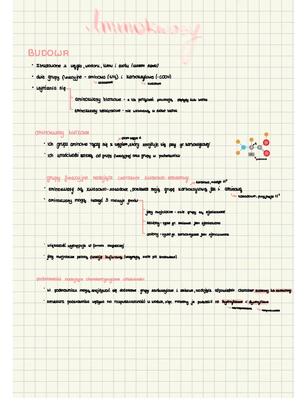 Aminokwasy, budowa i funkcje białek