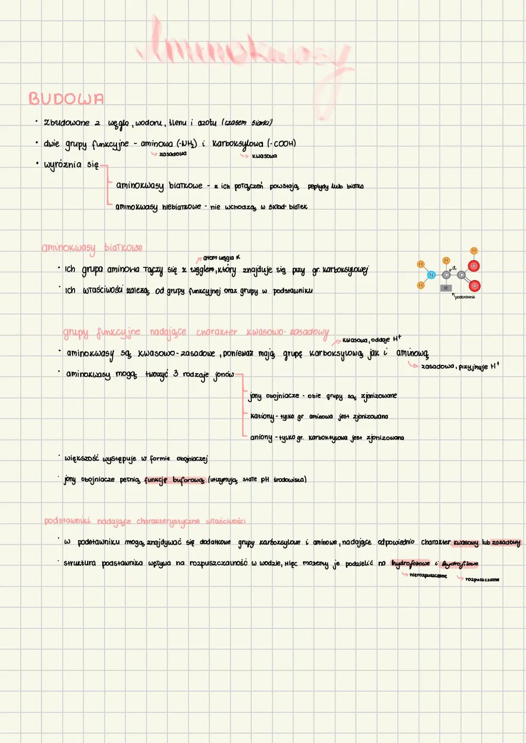 BUDOWA
• zbudowane 2 węgle, wodoru, tlenu i azotu (czasem siarki)
"
dwie grupy funkcyjne - aminowa (NH) i karboksylowa (-COOH)
.
wyróżnia si