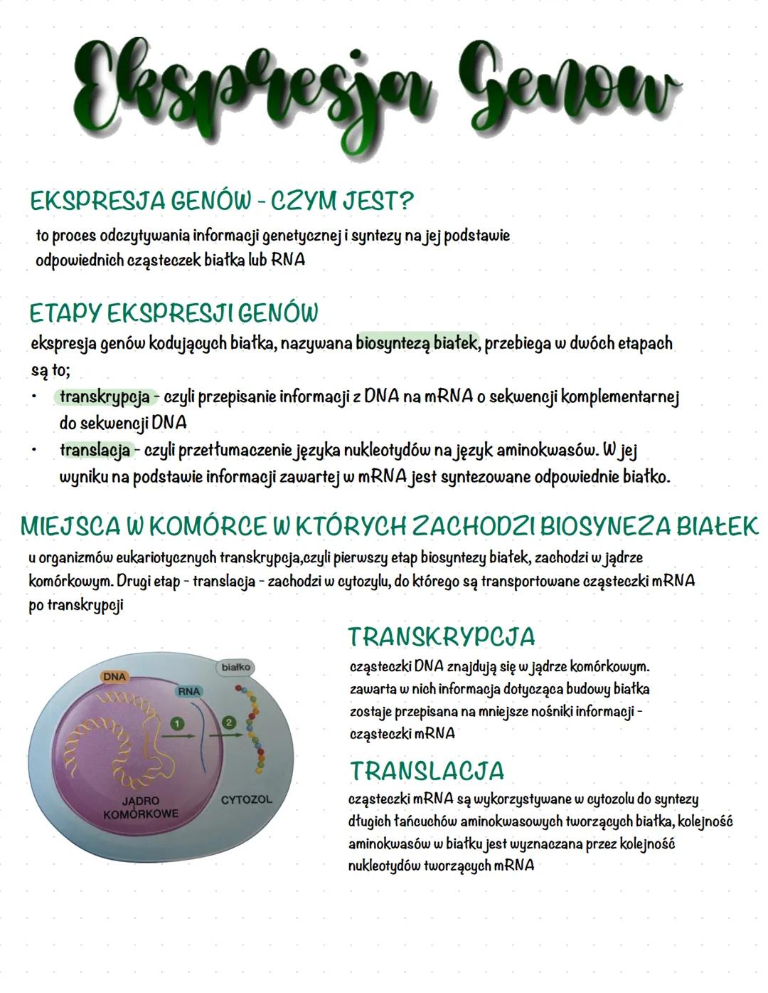 # Ekspresjon Genow
EKSPRESJA GENÓW - CZYM JEST?
to proces odczytywania informacji genetycznej i syntezy na jej podstawie
odpowiednich cząst