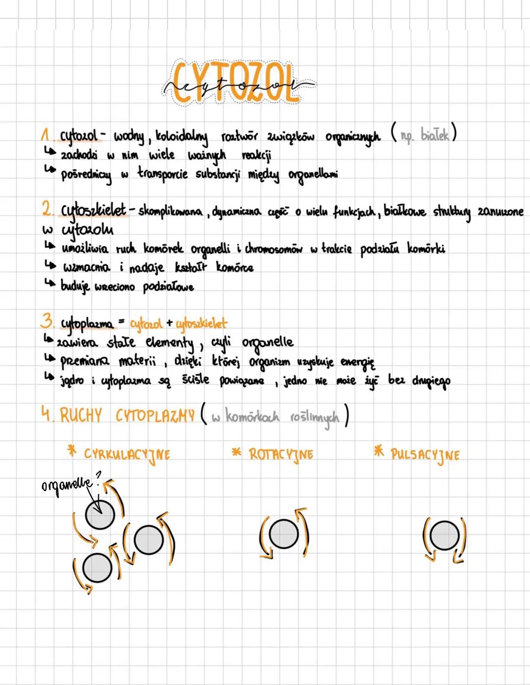 3.4 4 Z 18
# JADRO
# KOMORKOWE
* pory jądrowe
* otoczka jądrowa
* jąderko
* chromatyna
1. Budowa:
* otoczone dwiema błonami t