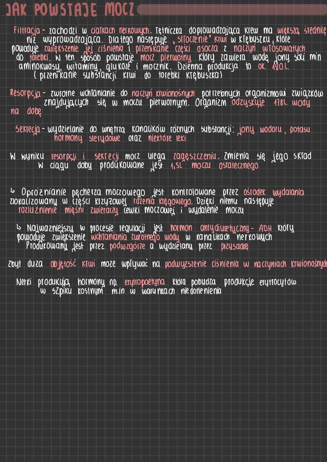 # Układ moczowy
FUNKCJE UKŁADU MOCZOWEGO
wydalanie- usuwanie
zbędnych produktow
przemiany materji
Osmoregulacja-aktywna regulacja ilości