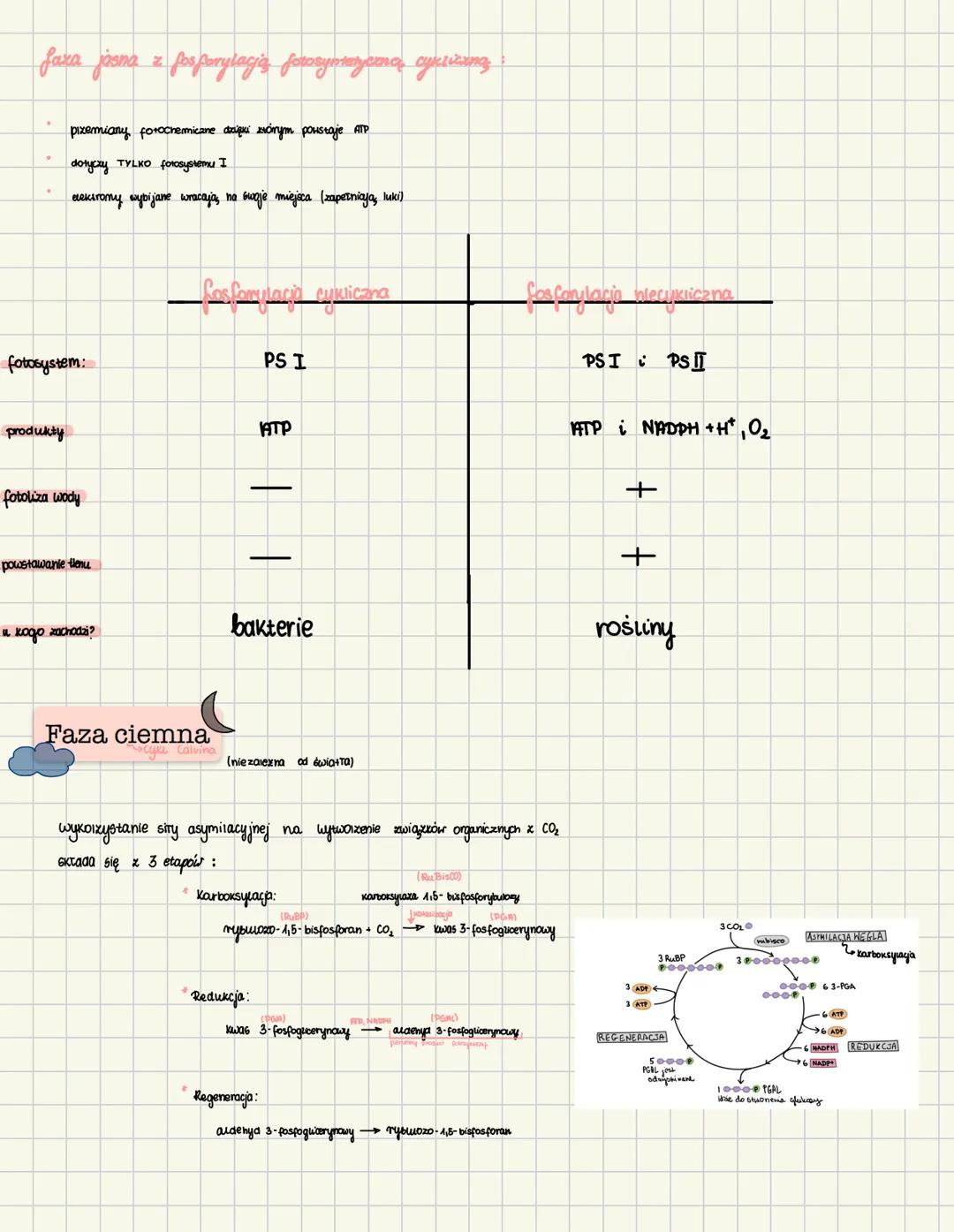 temat: Autotroficzne odzywianie się organizmów-fotosyntezo
ODZYWIANIE SIĘ ORGANIZMÓW
fotosyntexa
źródło energii: światło
pizykłady
rośli