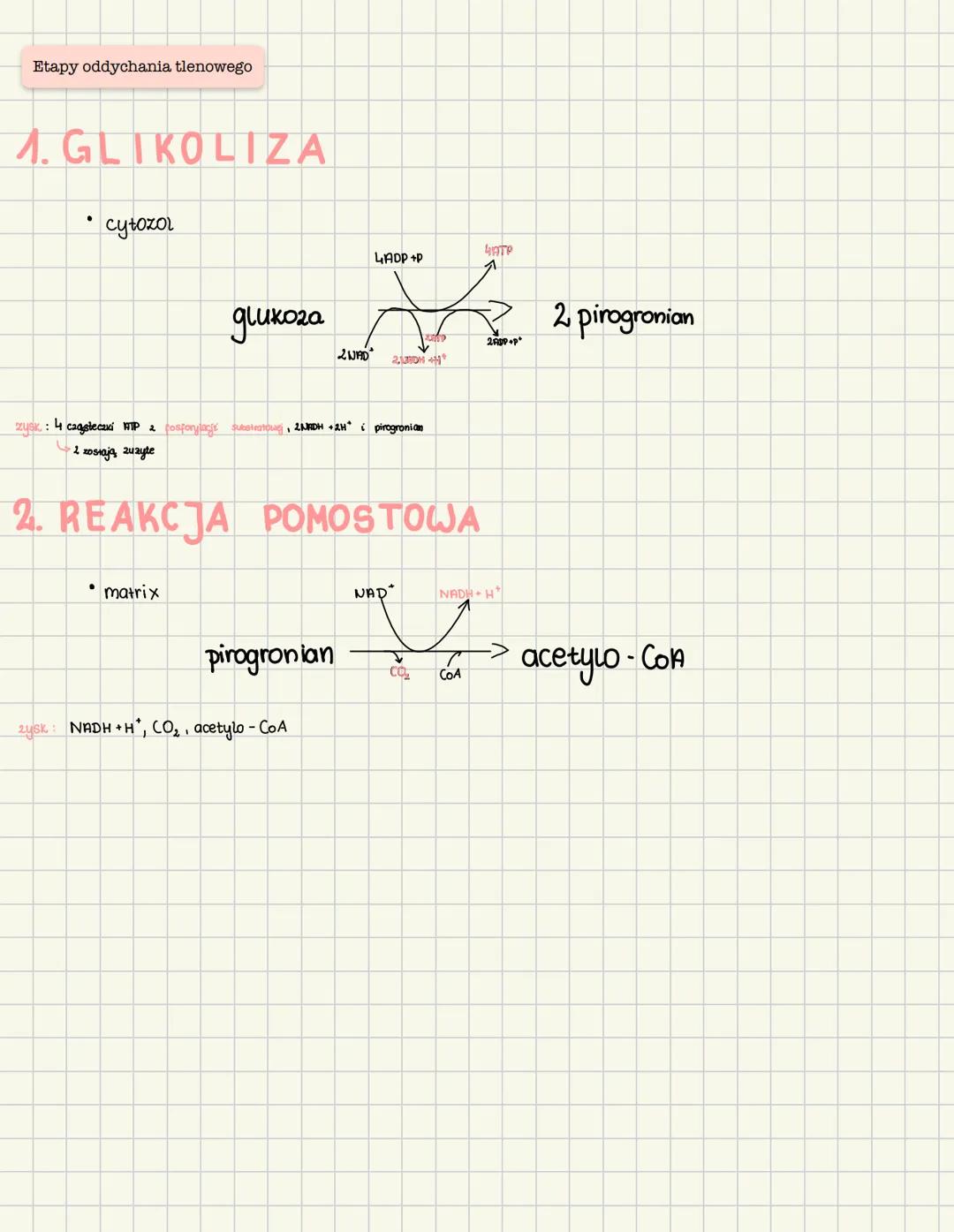 # Oddychanie komórkowe
oddychanie komórkowe podstawowy proces dostarczona energi xomórkom oraz jest procesem Katabolicznym
Oddychanie
tle