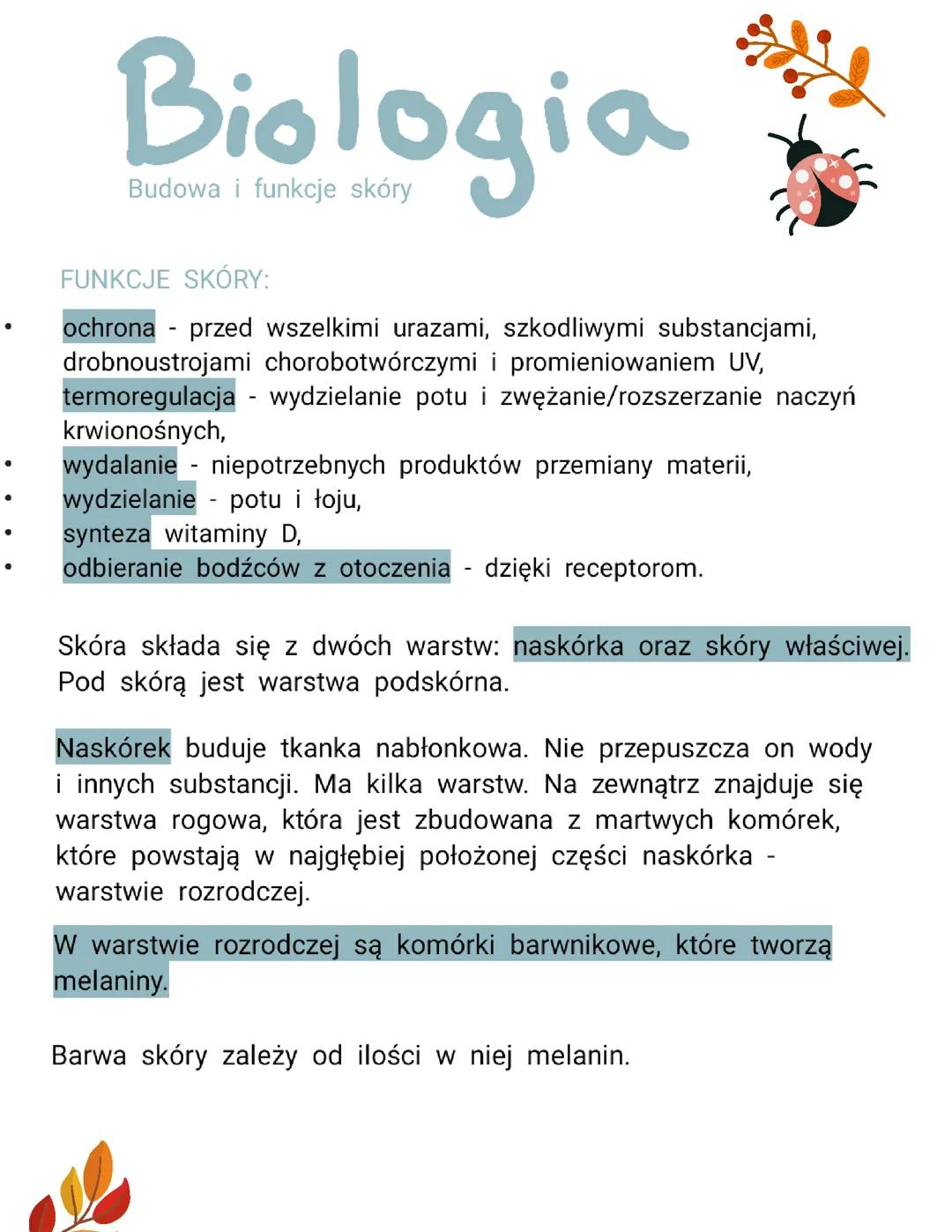 Biologia. Budowa I funkcje skóry.