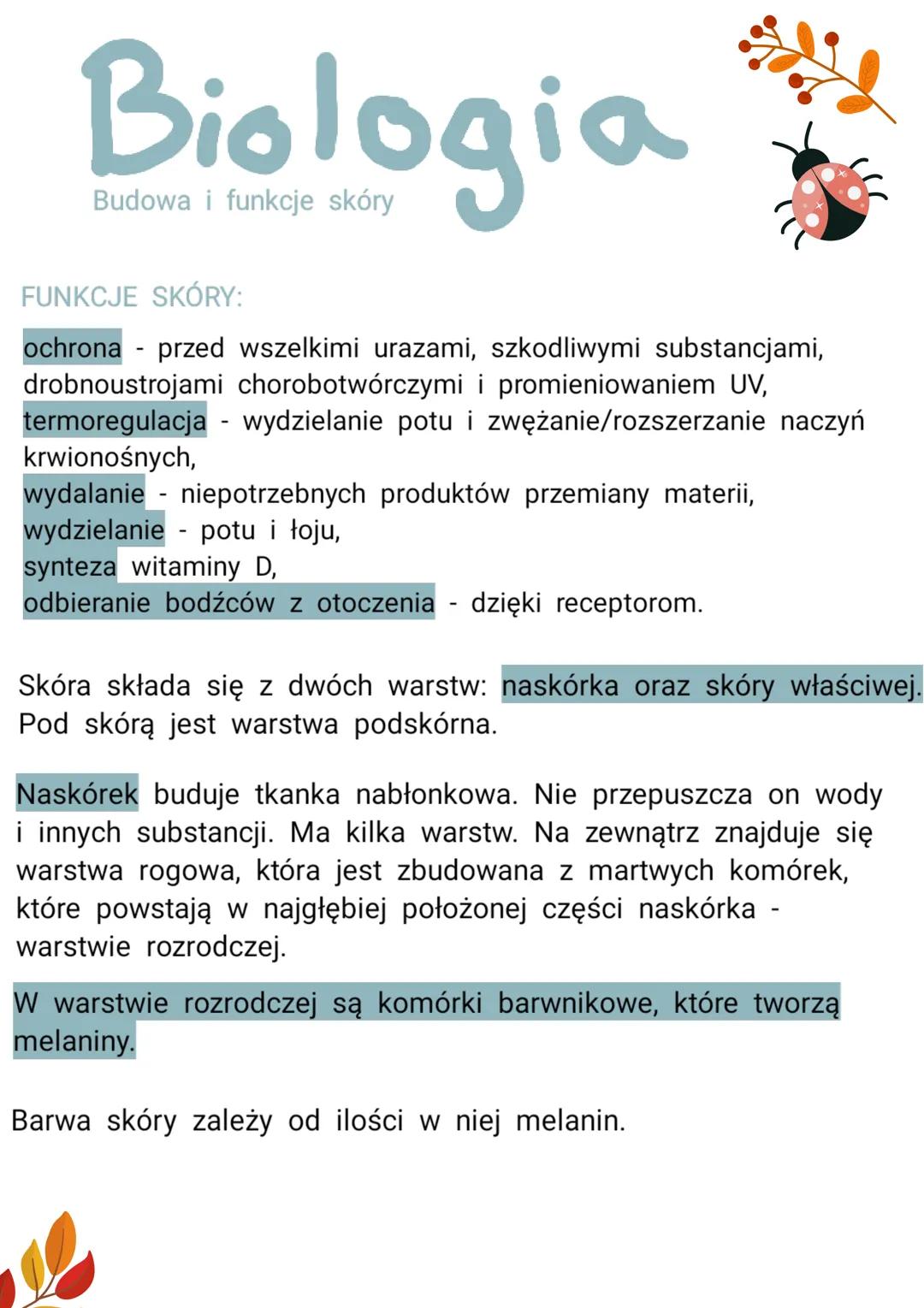 Biologia
Budowa i funkcje skóry
FUNKCJE SKÓRY:
ochrona przed wszelkimi urazami, szkodliwymi substancjami,
drobnoustrojami chorobotwórczymi i